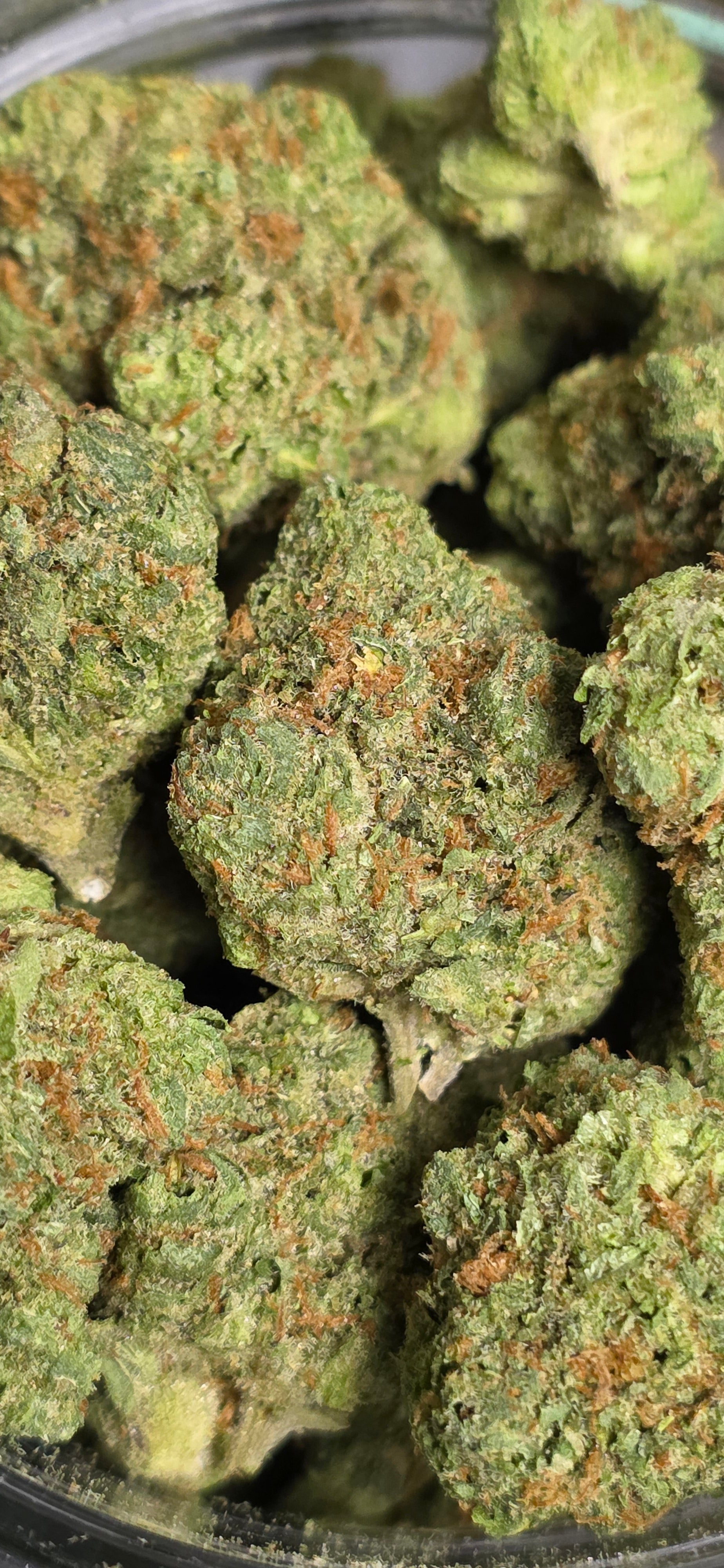 AAA+ Indoor THC-A Flower  ( Sativa )
