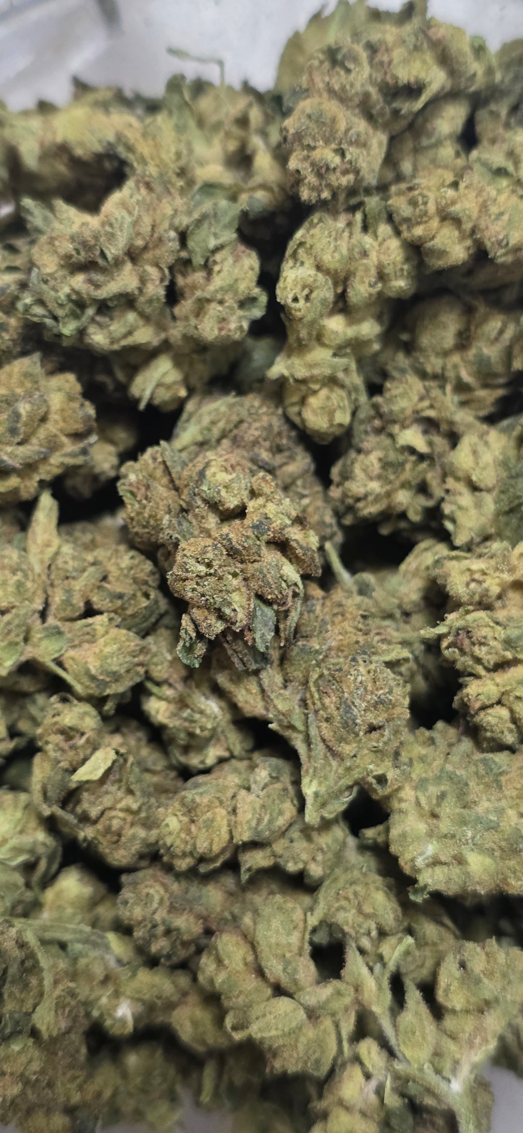 💲Budget Strains 💲