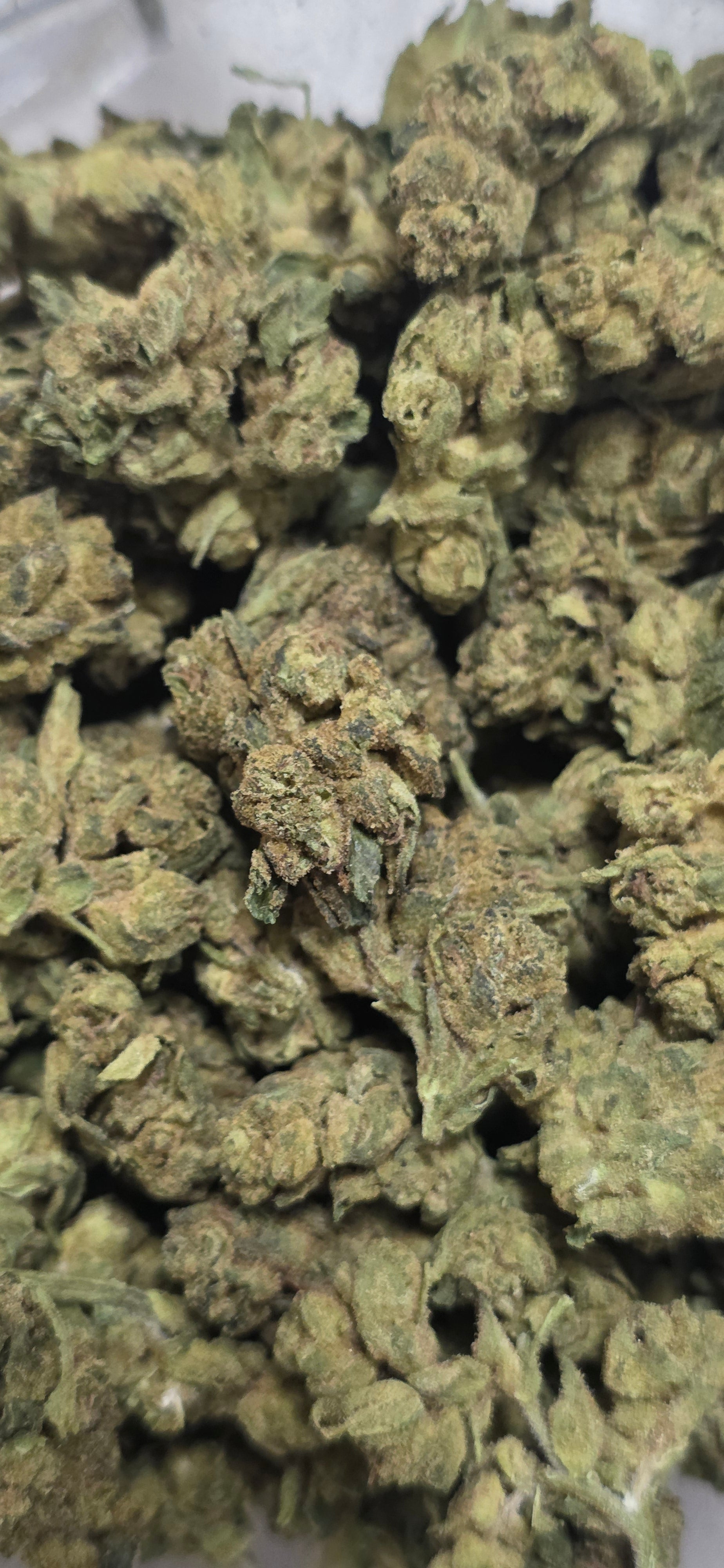💲Budget Strains 💲