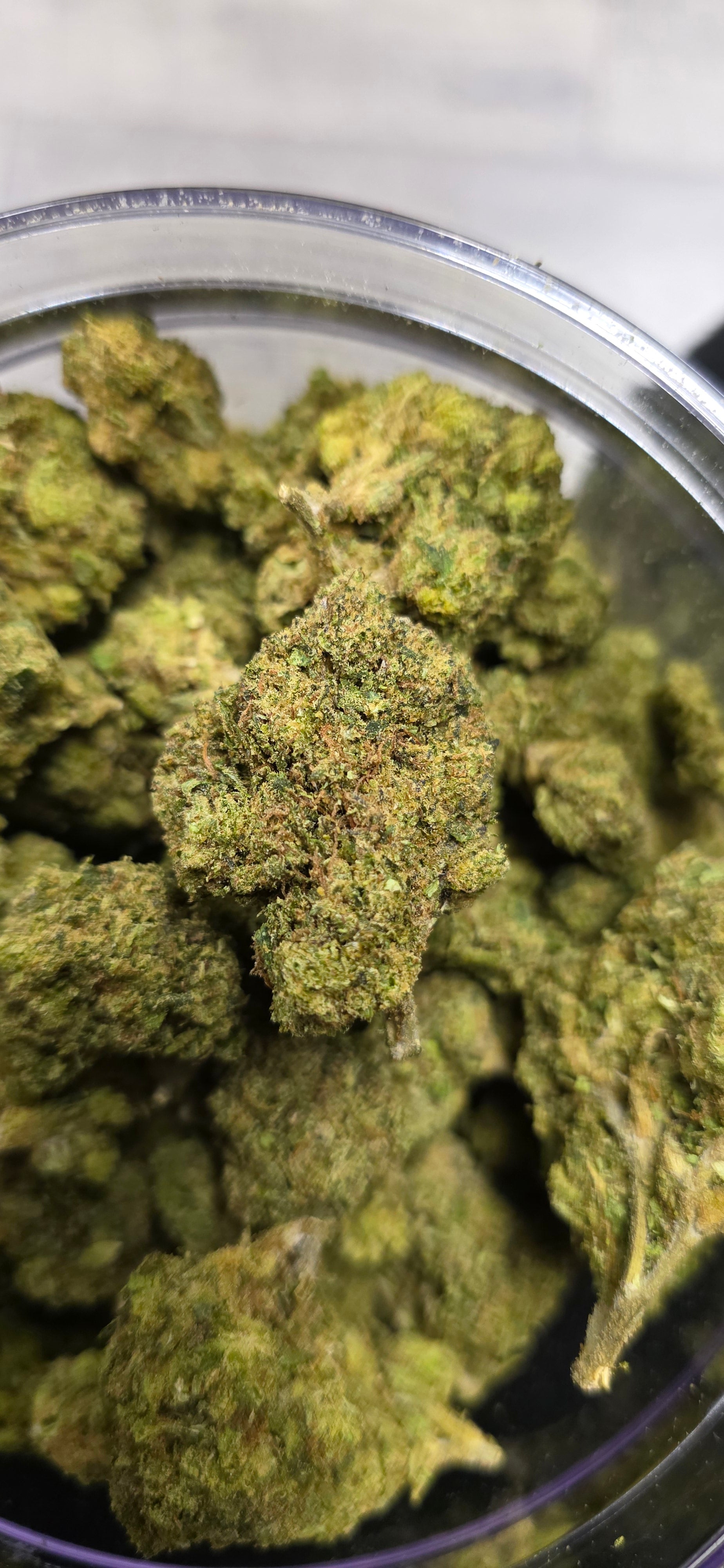 💲Budget Strains 💲