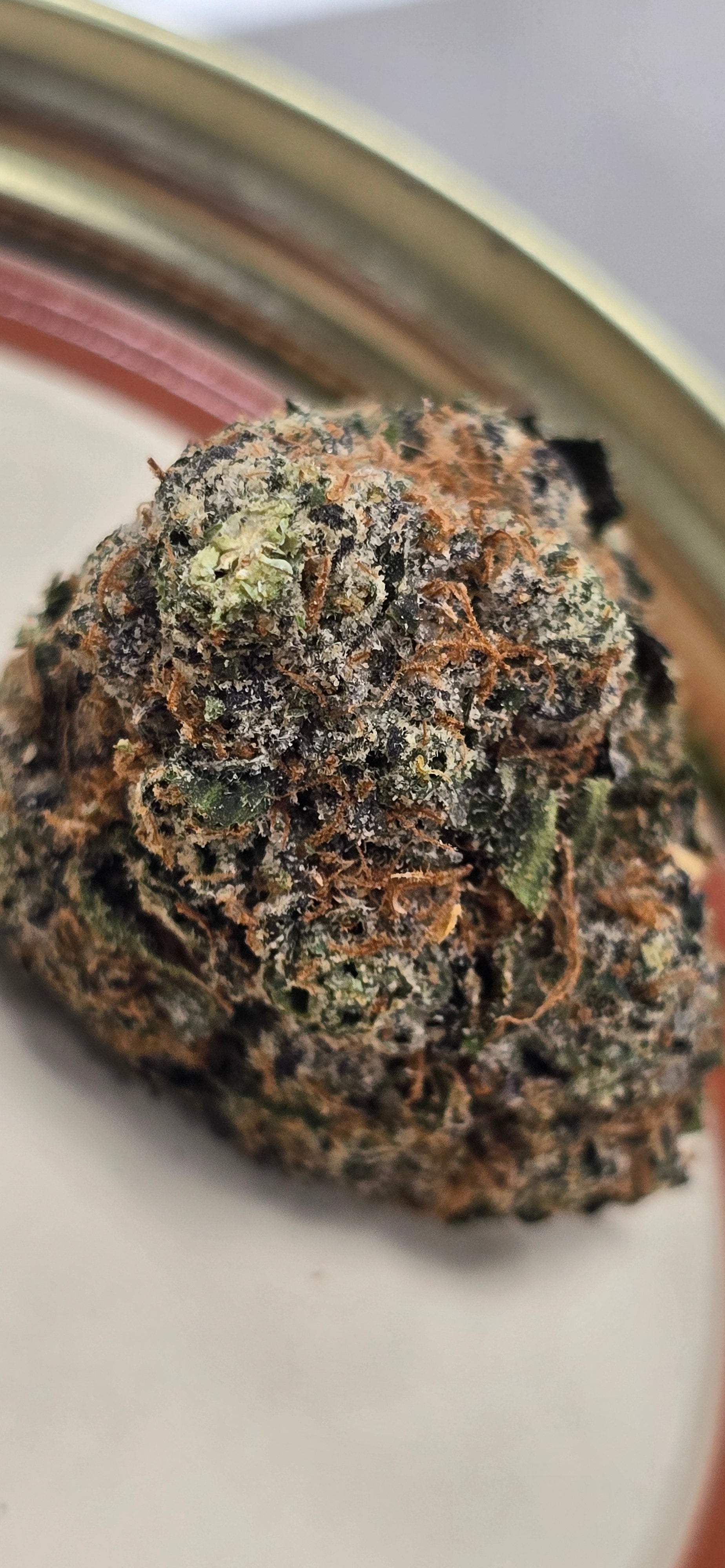 💚 Top Tier Strains 💚