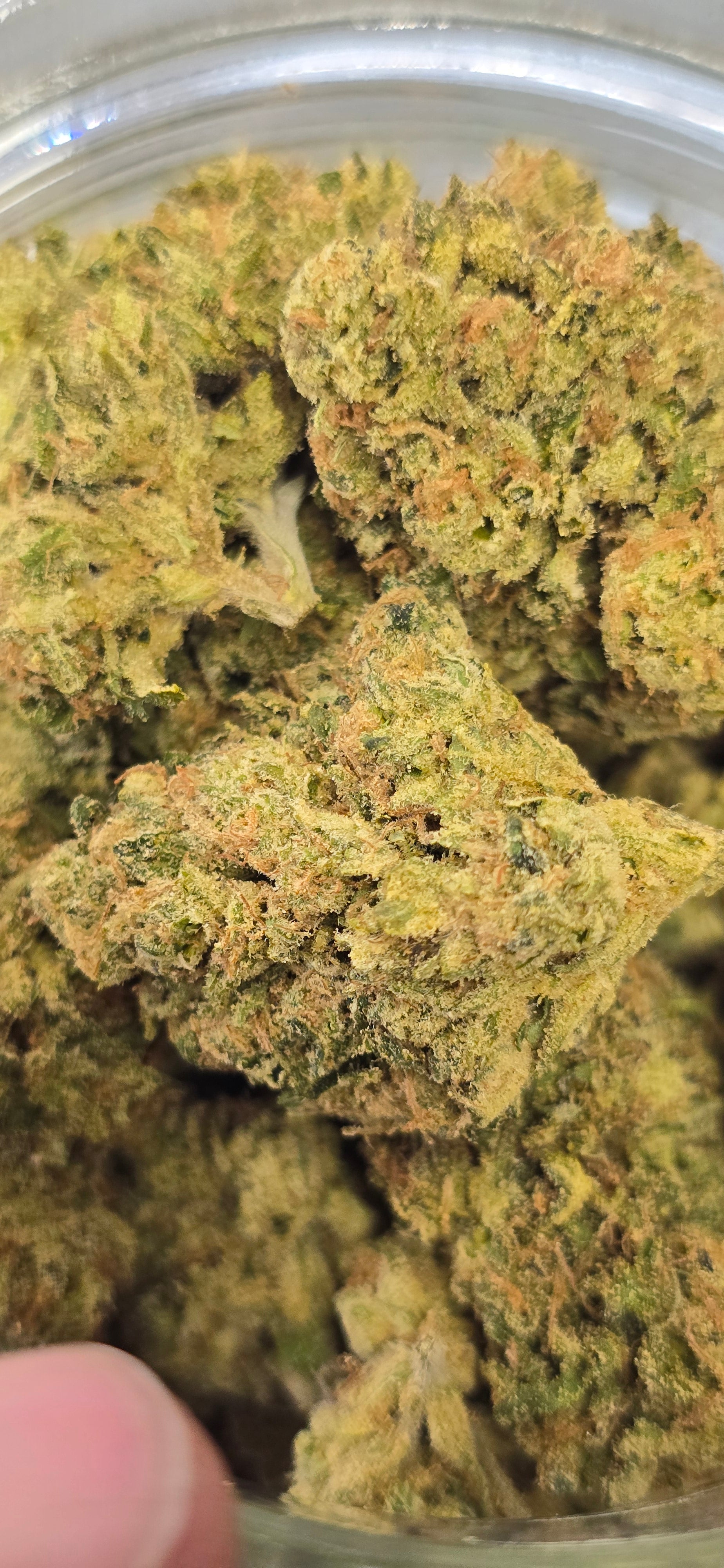 AAA+ Indoor THC-A Flower  ( Sativa )