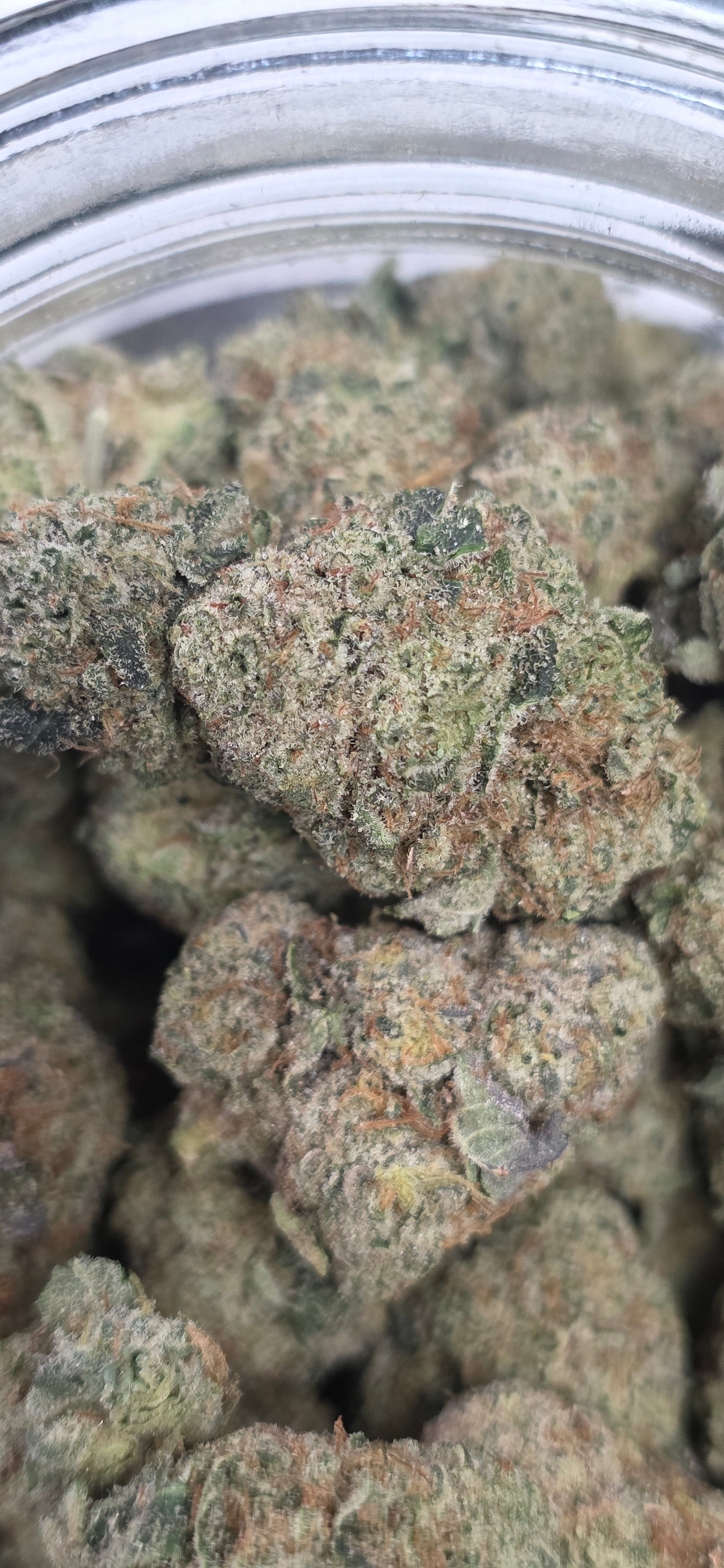 💚 Top Tier Strains 💚