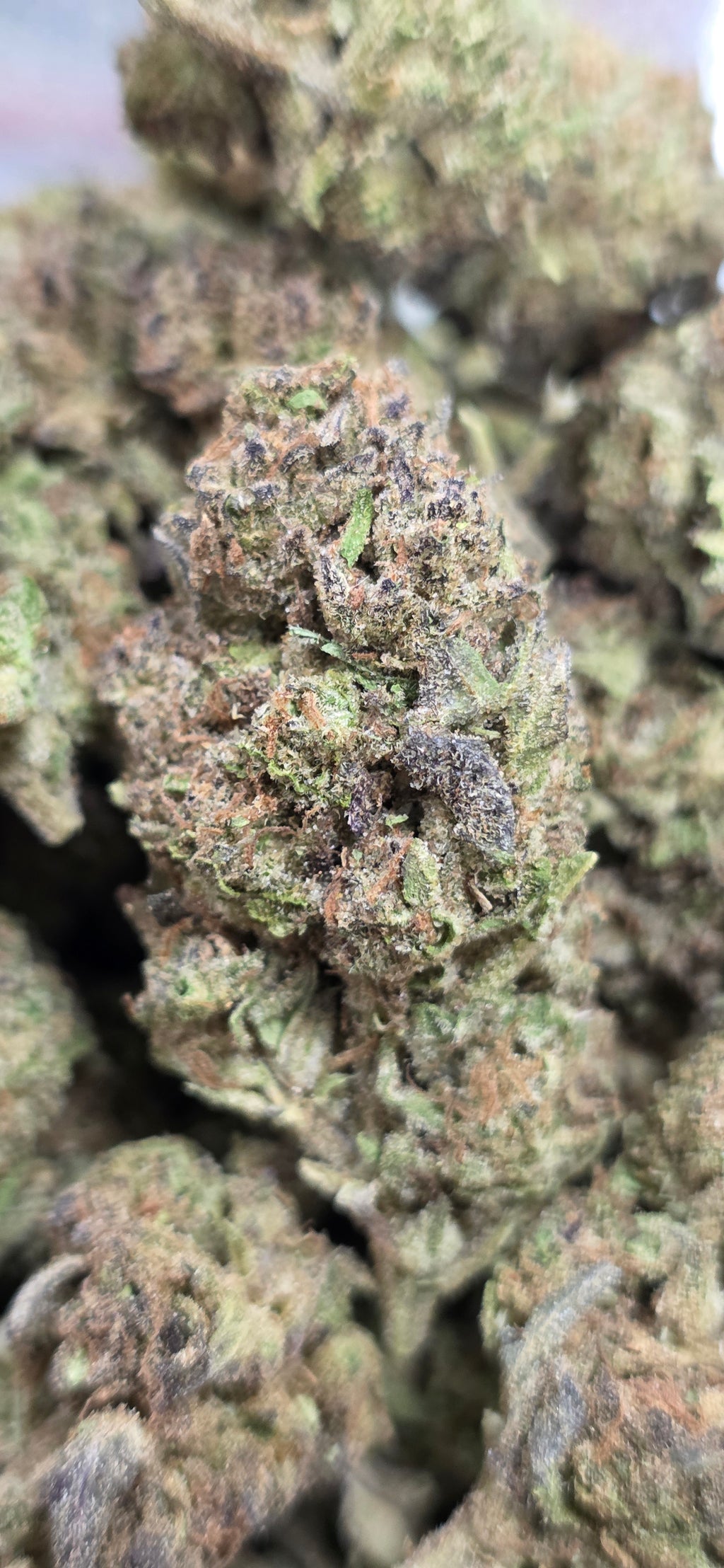 💲Budget Strains 💲