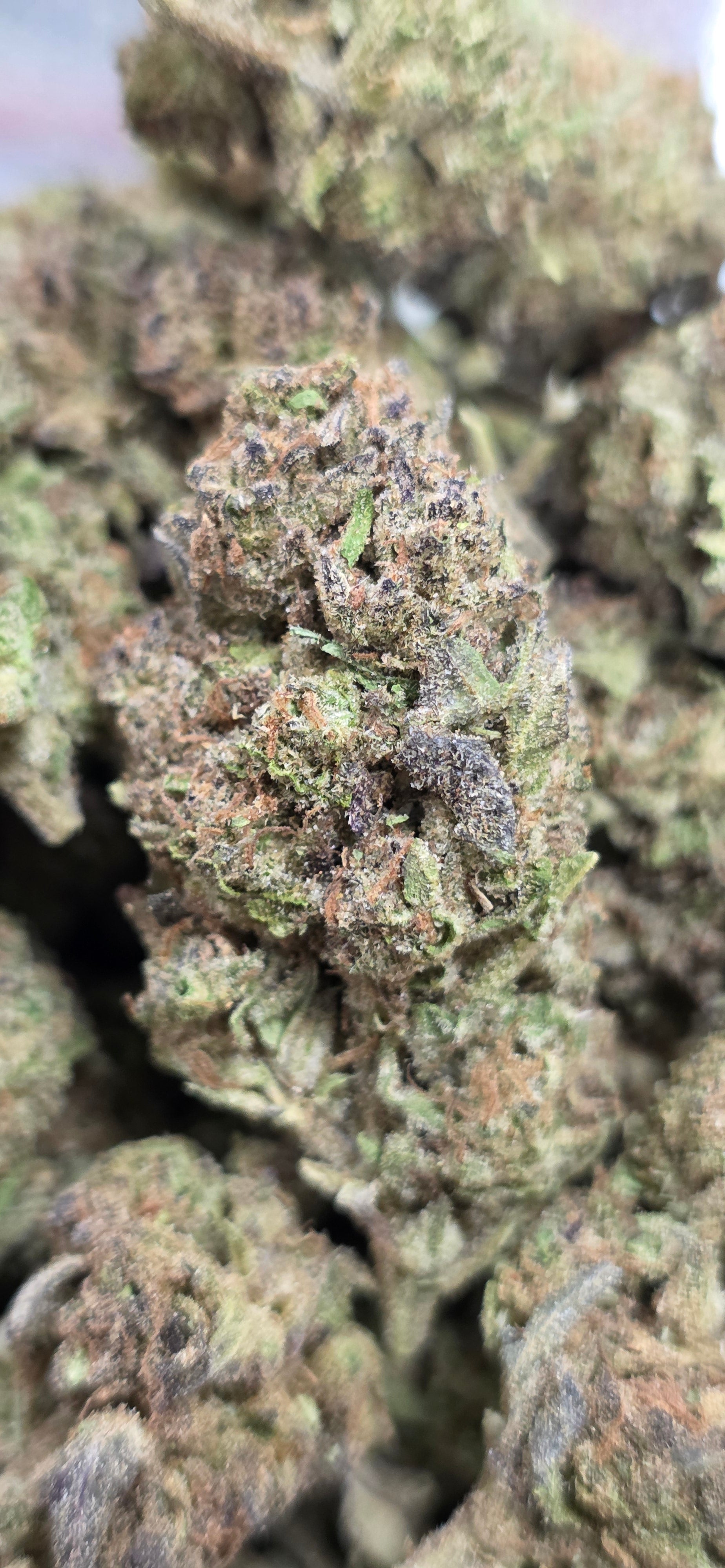 💲Budget Strains 💲