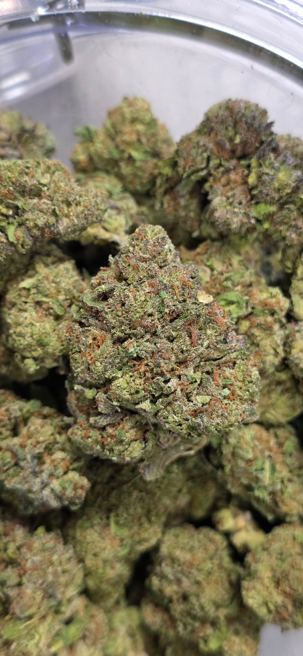 💲Budget Strains 💲