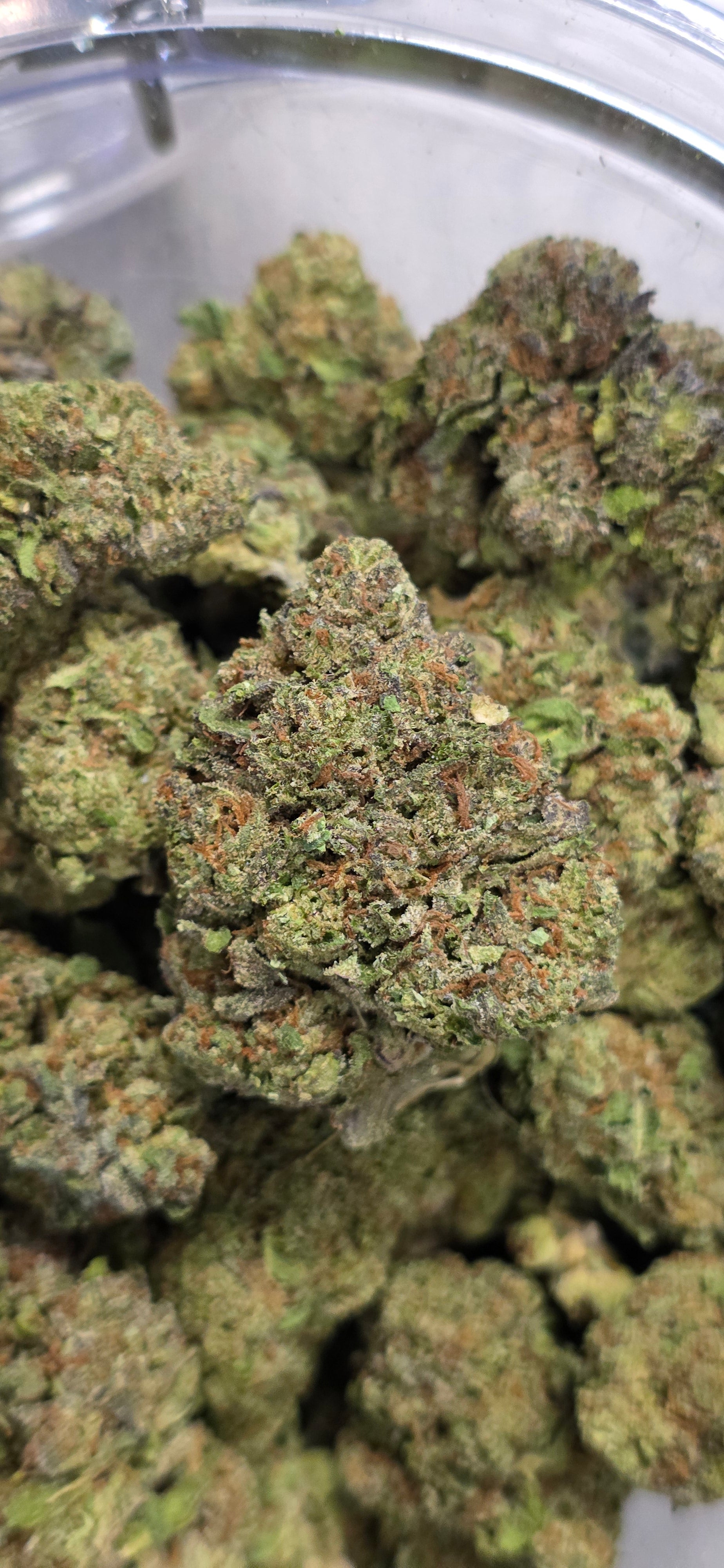 💲Budget Strains 💲