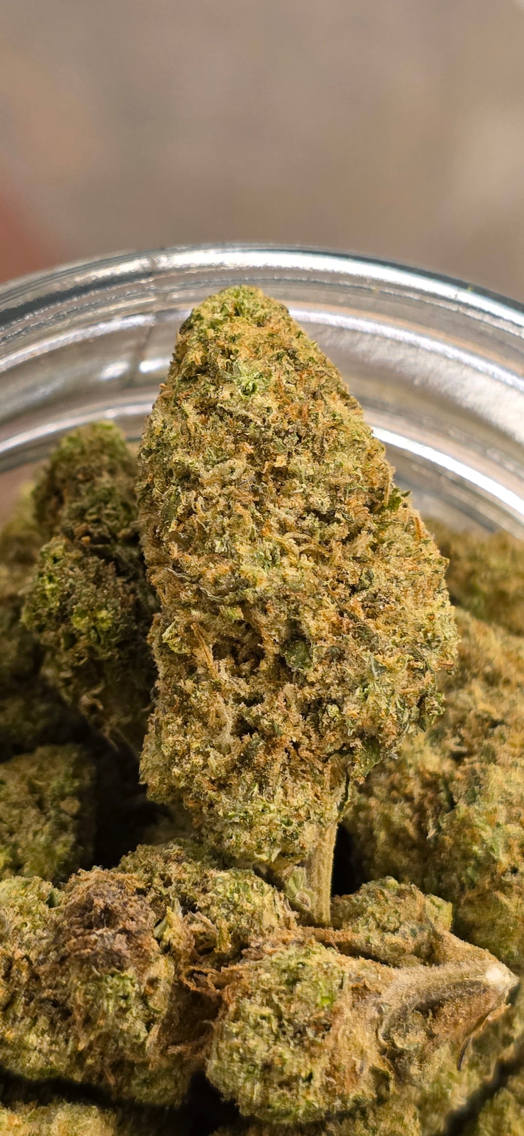AAA+ Indoor THC-A Flower  ( Sativa )