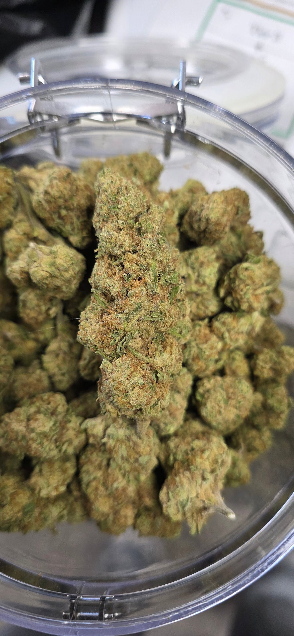 💲Budget Strains 💲