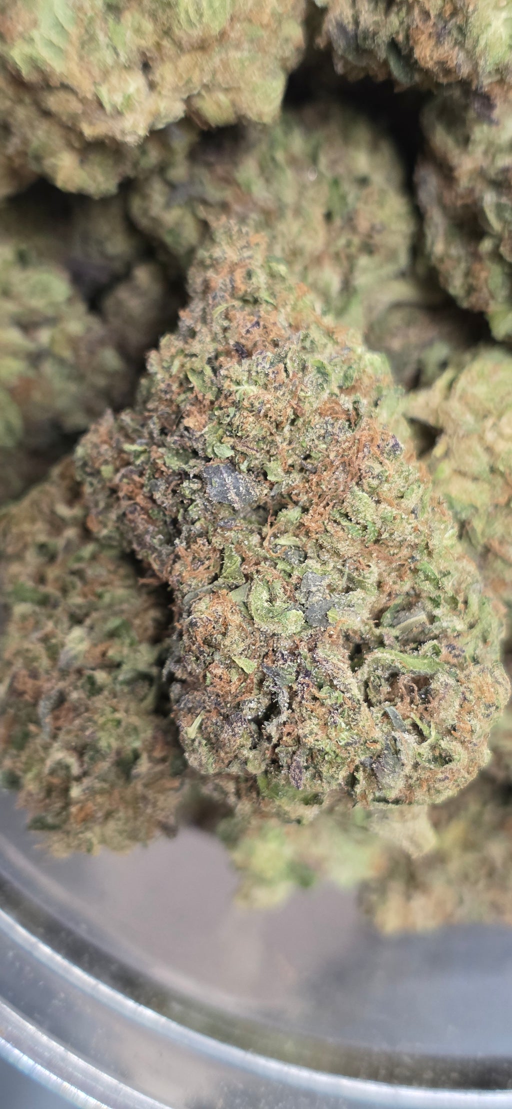 💲Budget Strains 💲