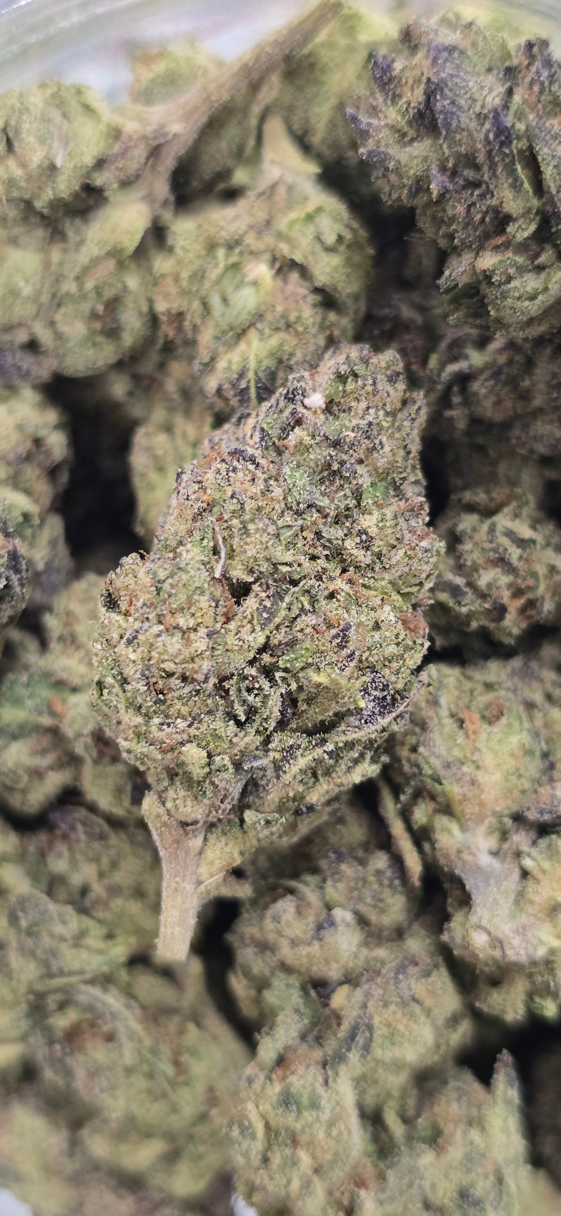 AAA+ Indoor THC-A Flower  ( Indica )