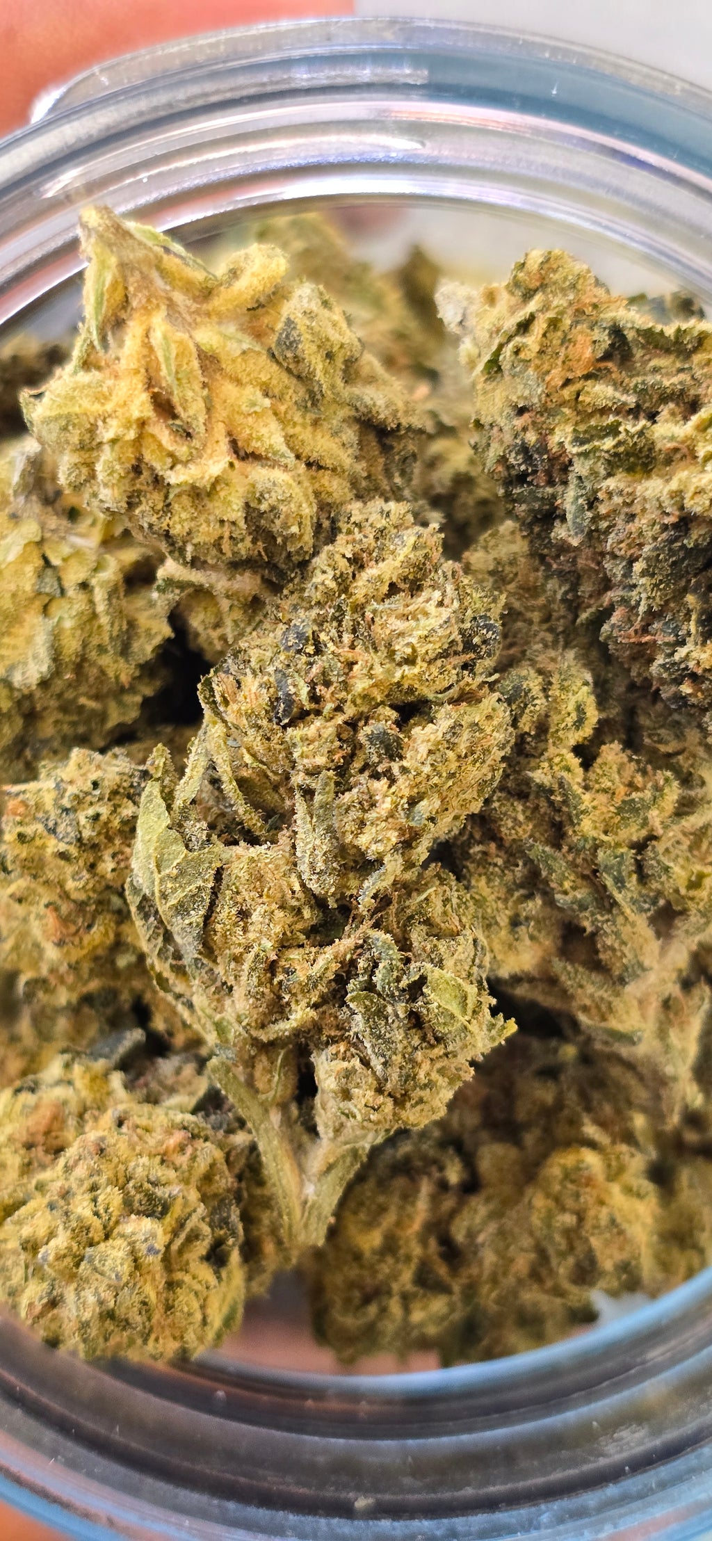 💲Budget Strains 💲