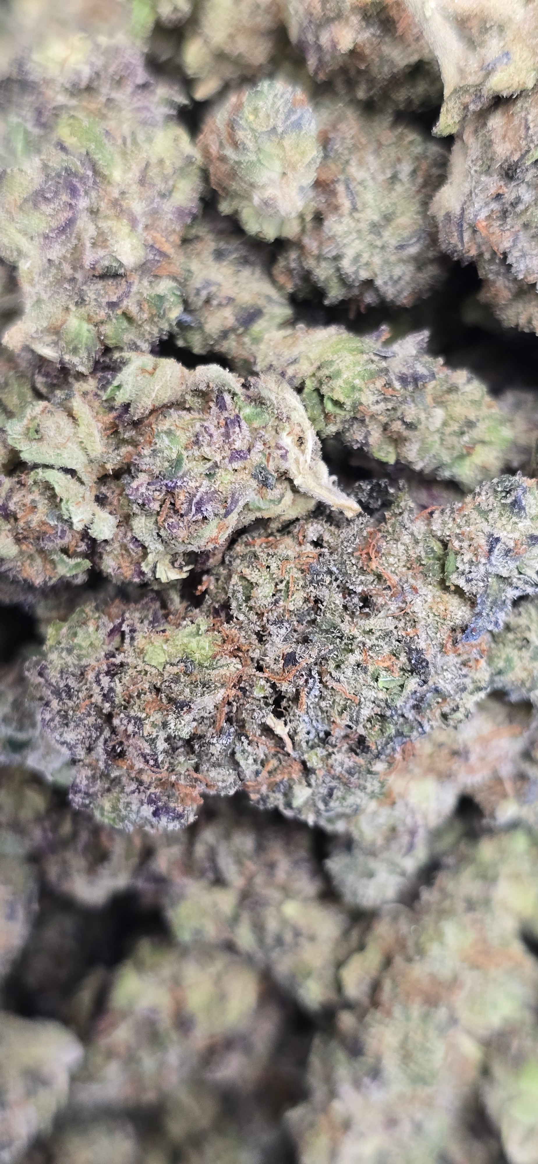 💚 Top Tier Strains 💚