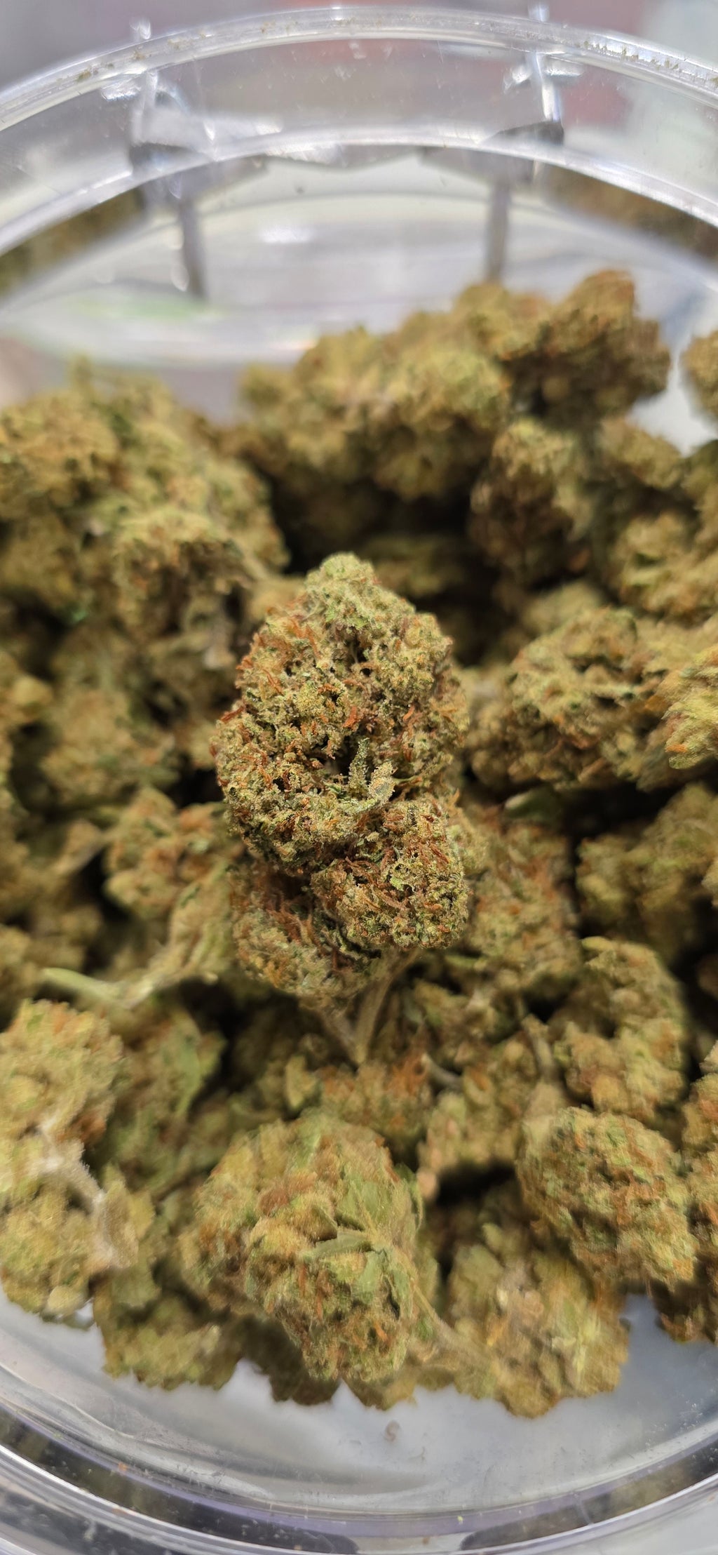 💲Budget Strains 💲
