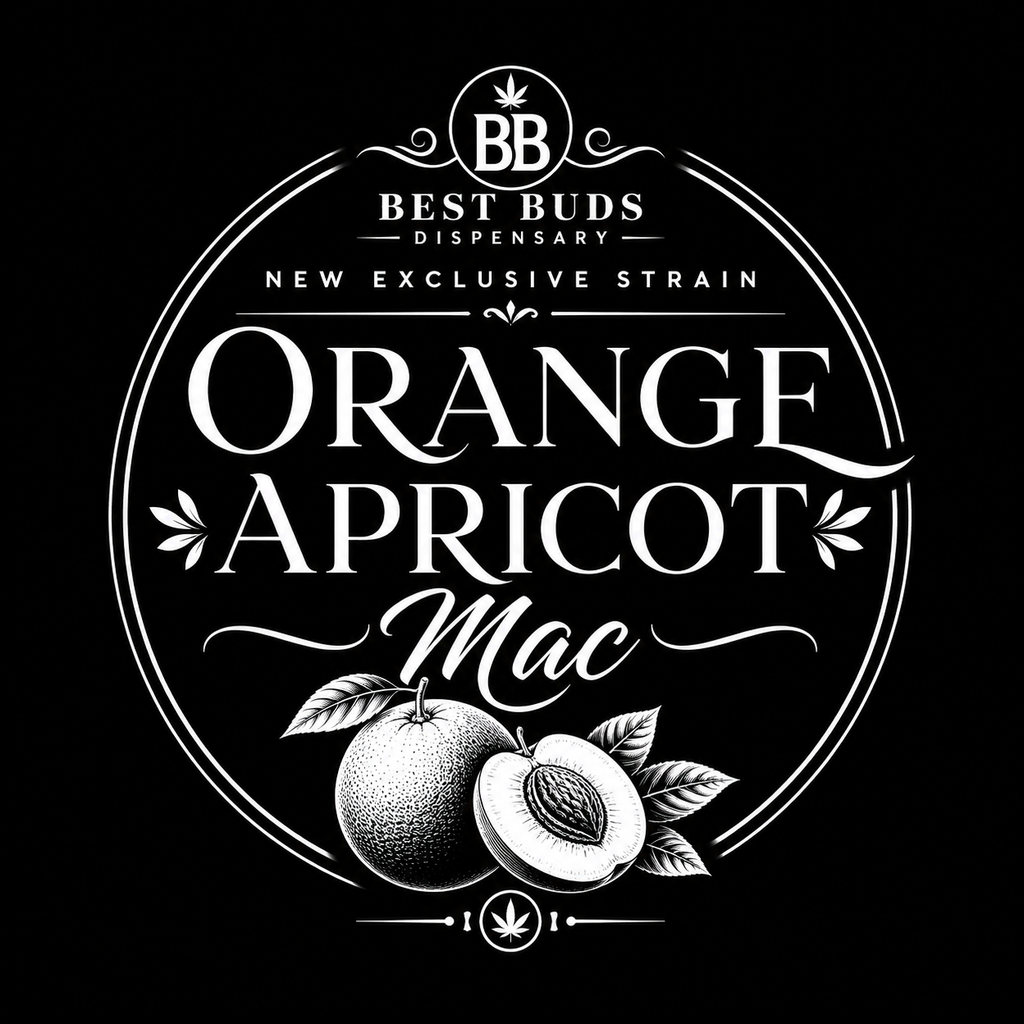 Orange Apricot Mac - Exclusive