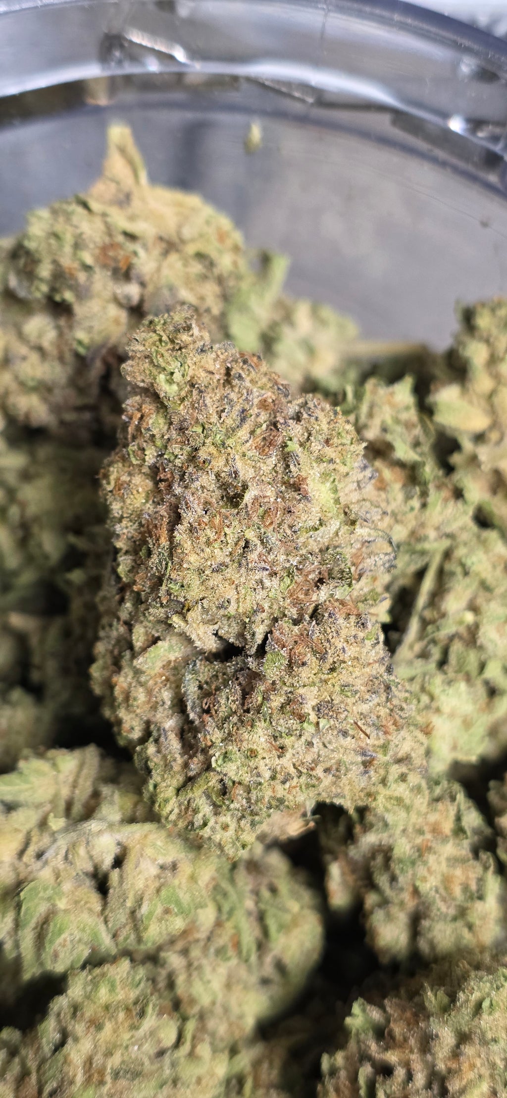 💲Budget Strains 💲