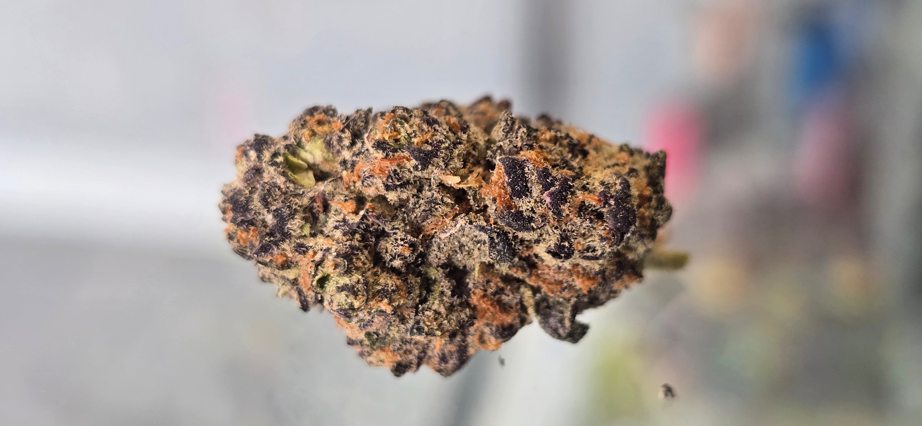 AAA+ Indoor THC-A Flower  ( Indica )