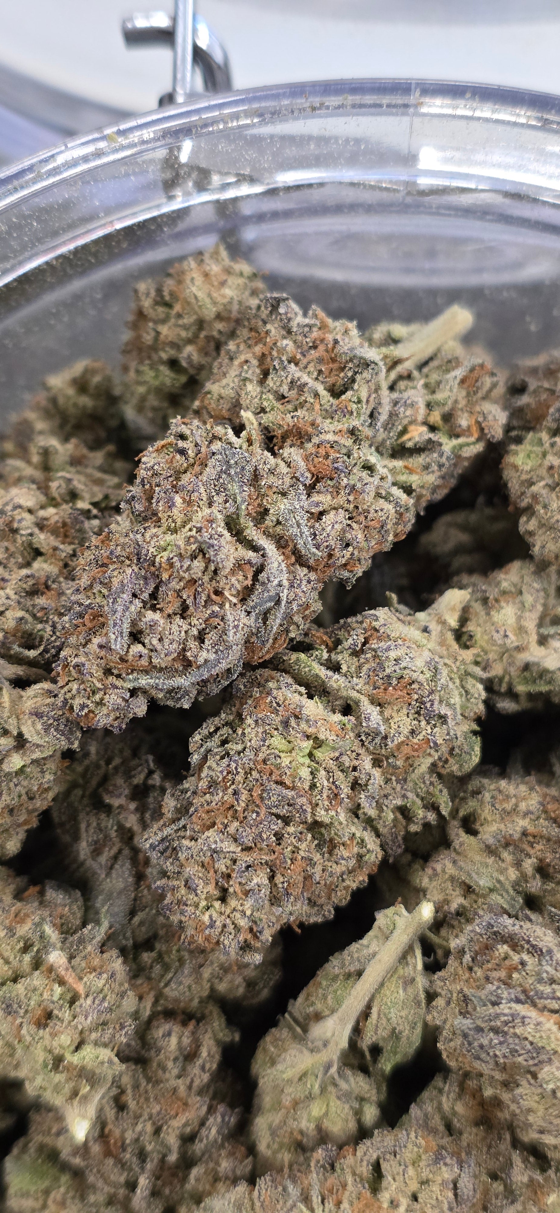 💲Budget Strains 💲