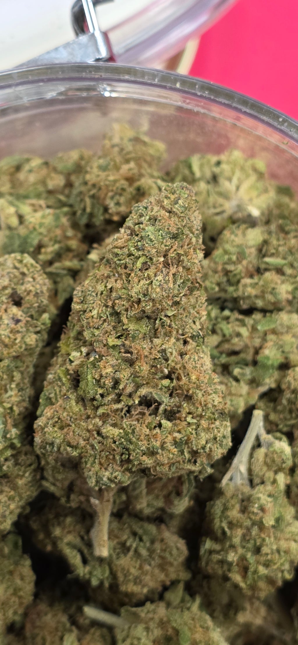 💲Budget Strains 💲