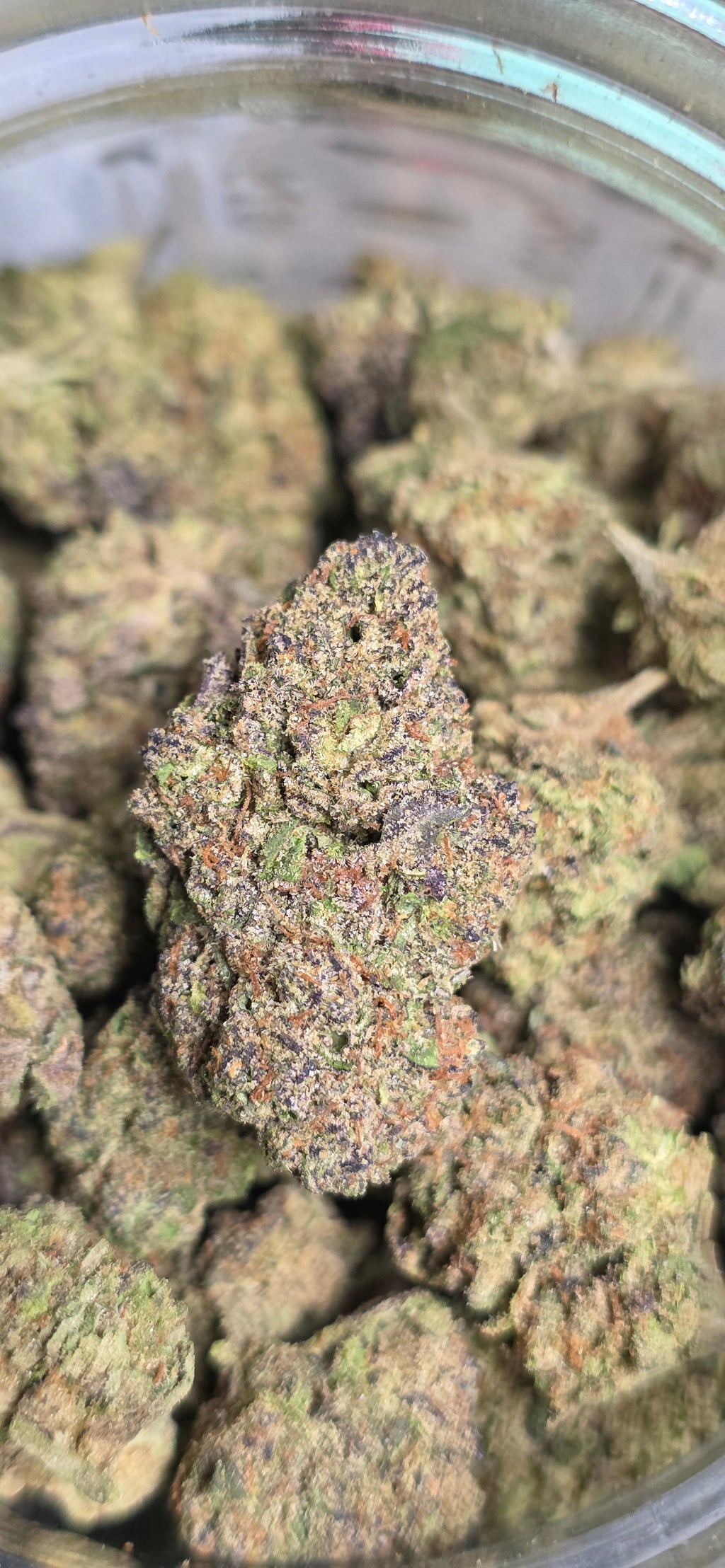 💲Budget Strains 💲