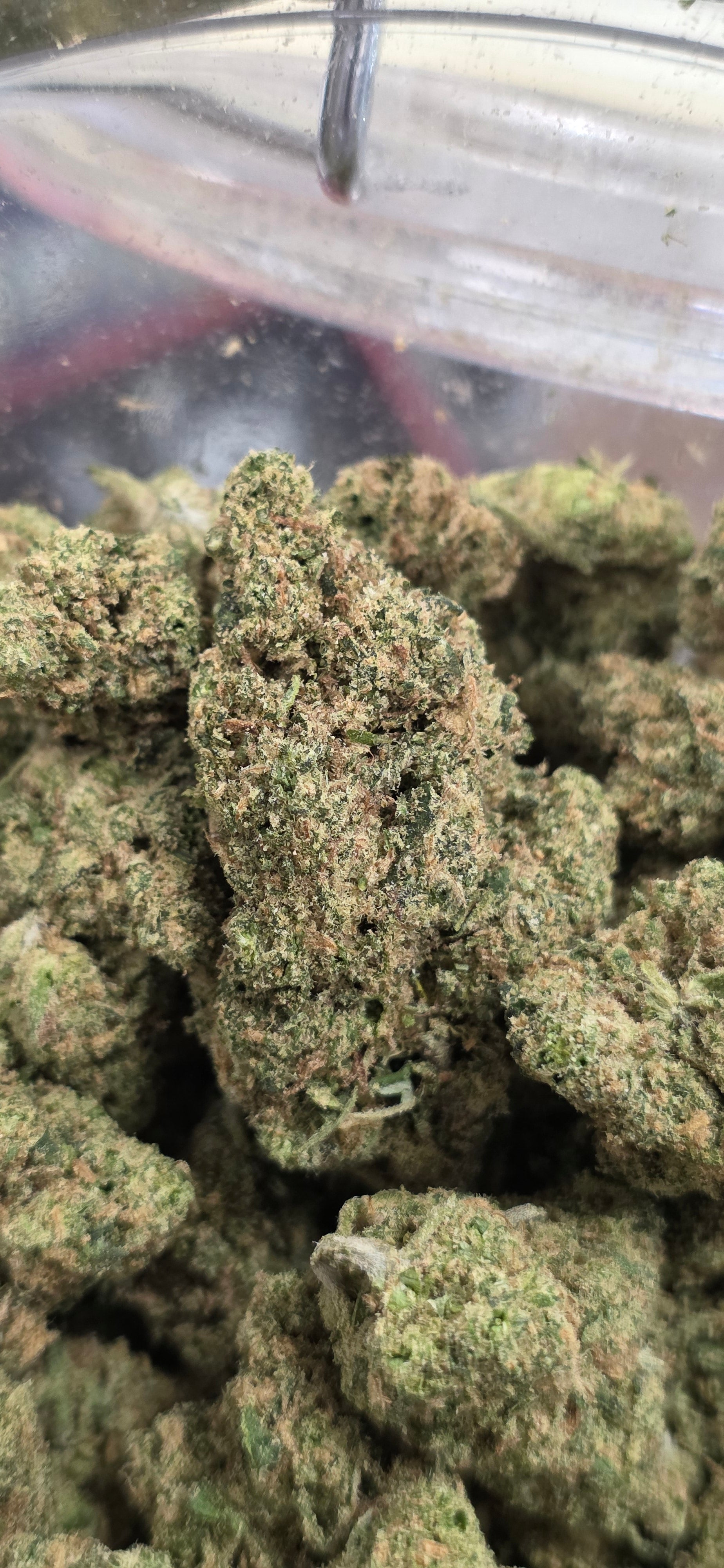 💲Budget Strains 💲