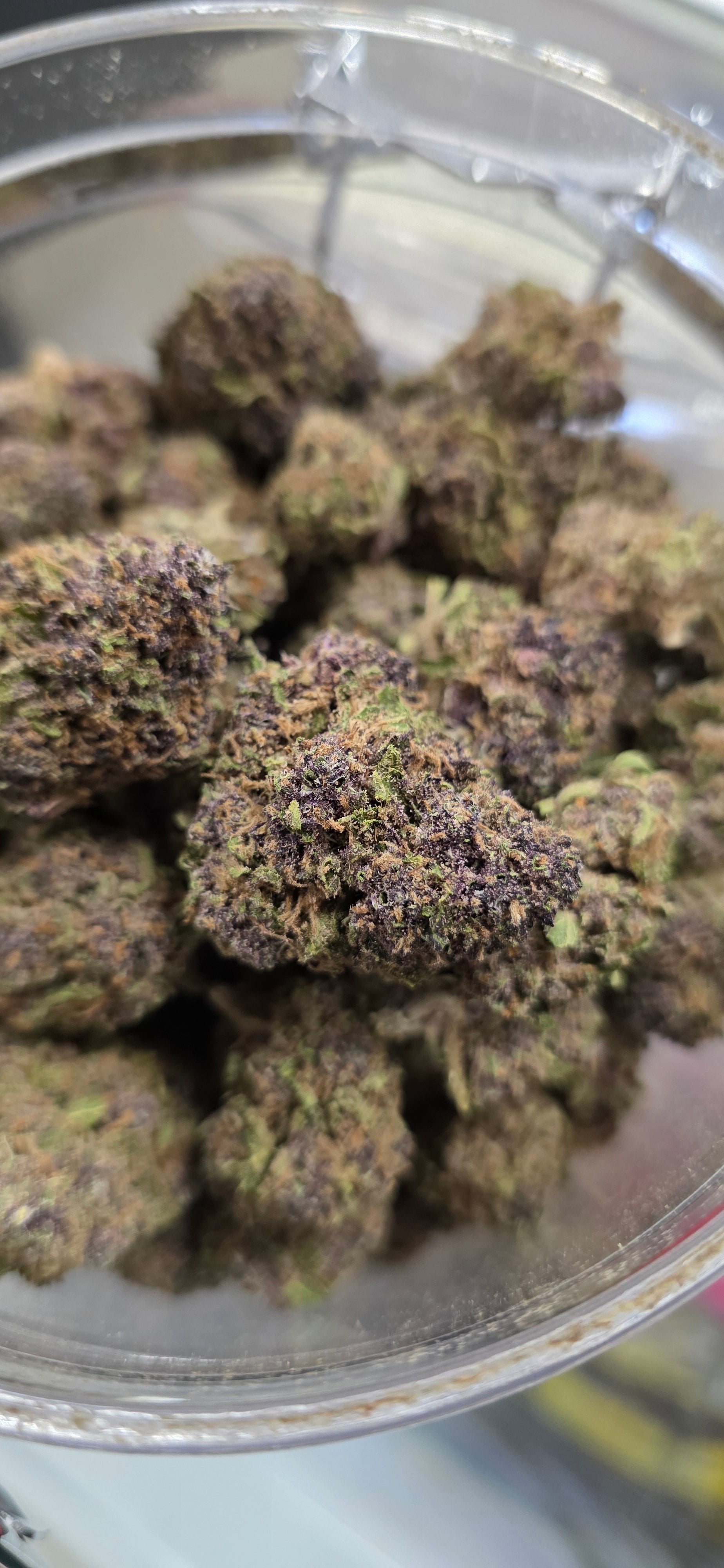 💲Budget Strains 💲