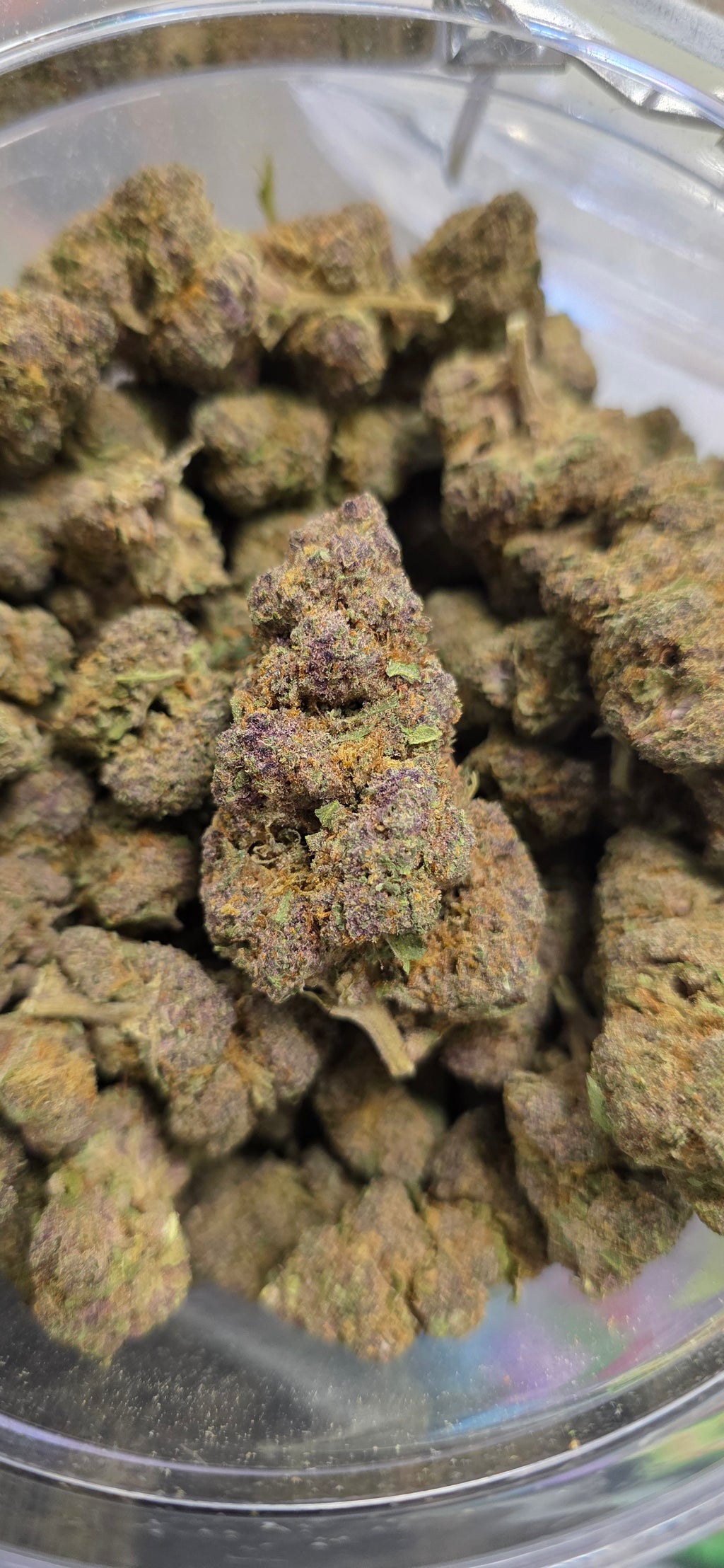 💲Budget Strains 💲