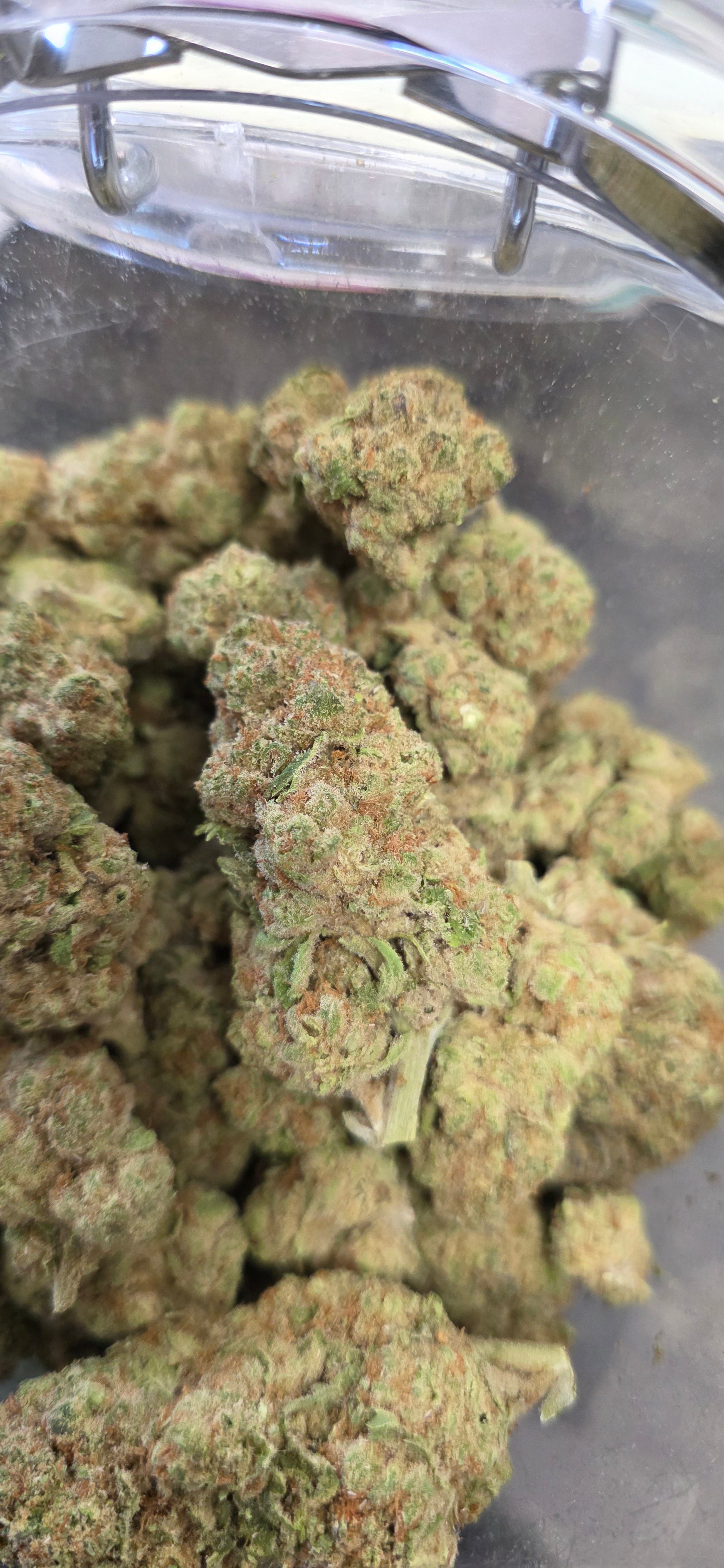 💲Budget Strains 💲