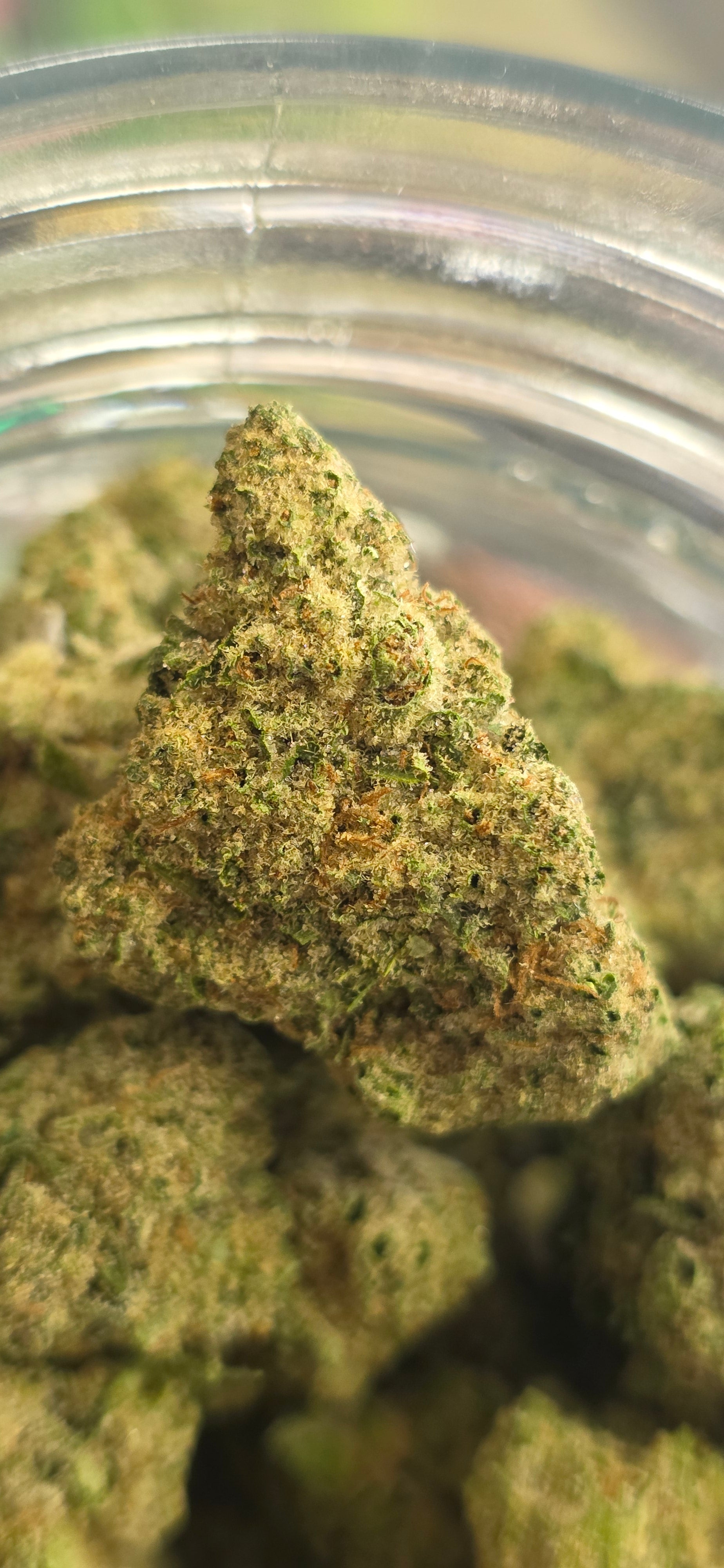 💚 Top Tier Strains 💚