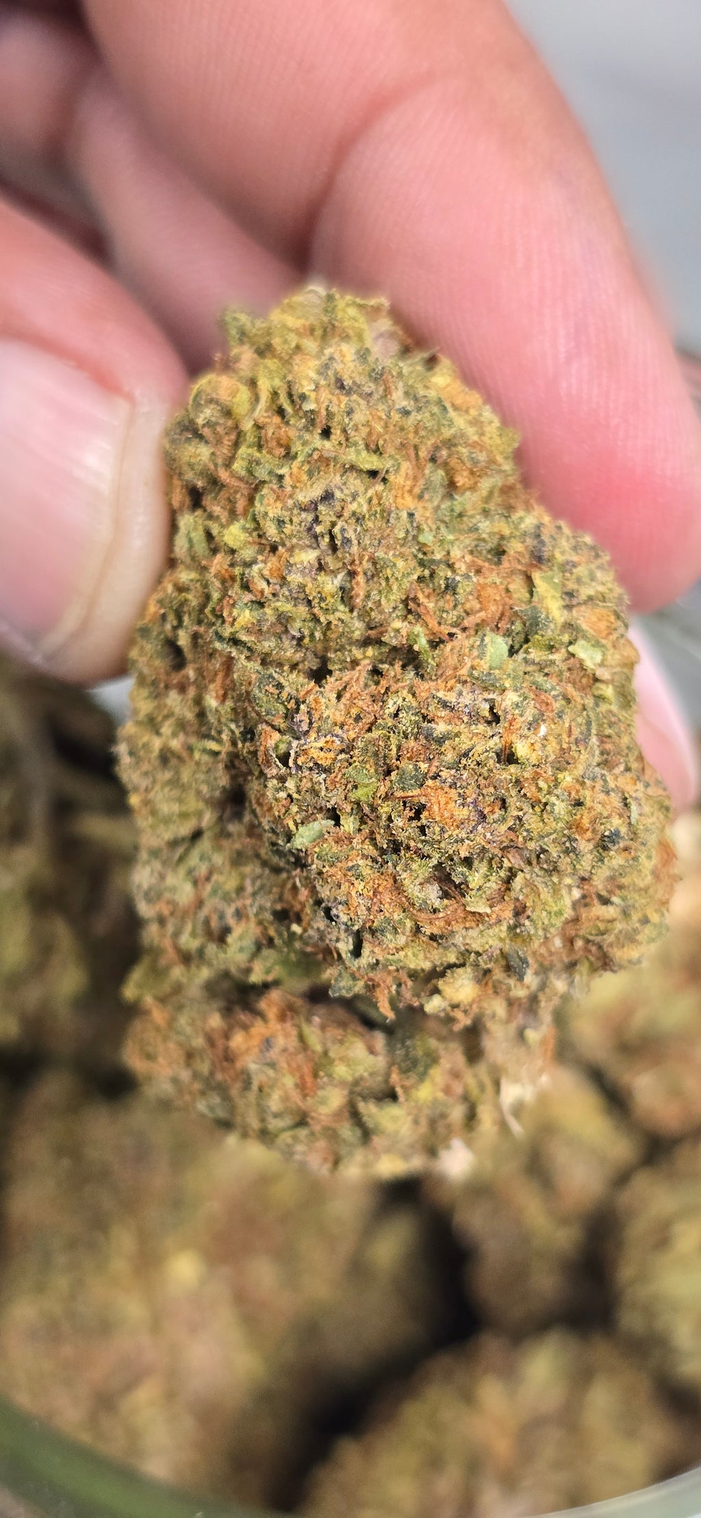 💲Budget Strains 💲