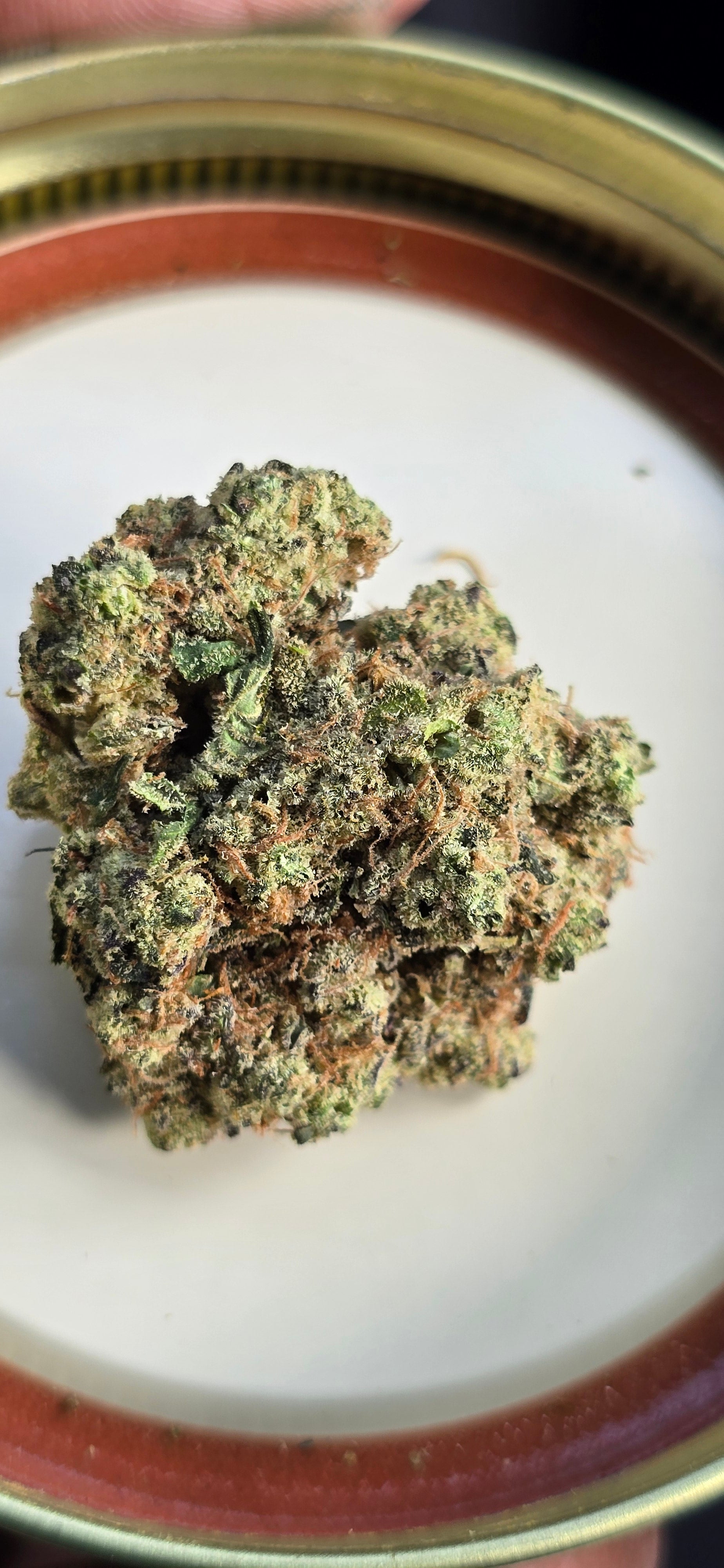 💚 Top Tier Strains 💚