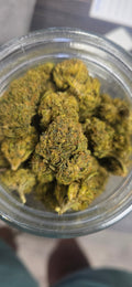 AAA+ Indoor THC-A Flower  ( Hybrid )