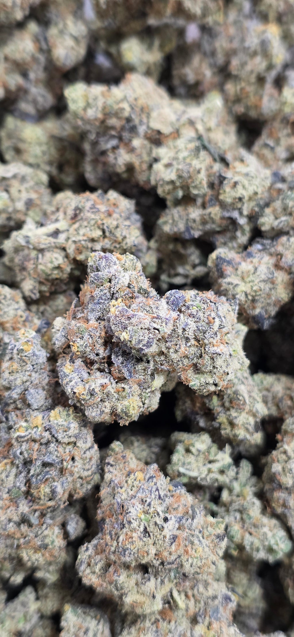 💚 Top Tier Strains 💚