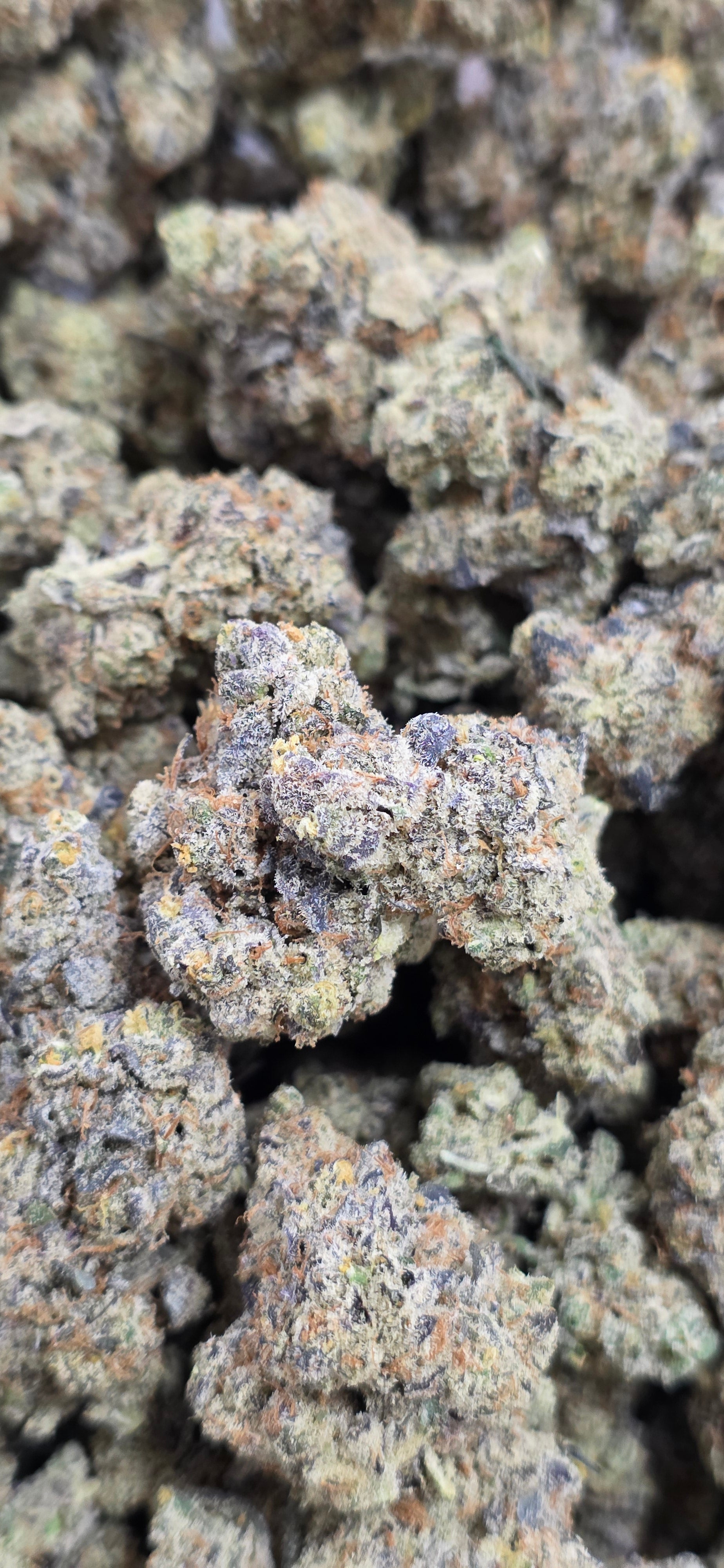 💚 Top Tier Strains 💚