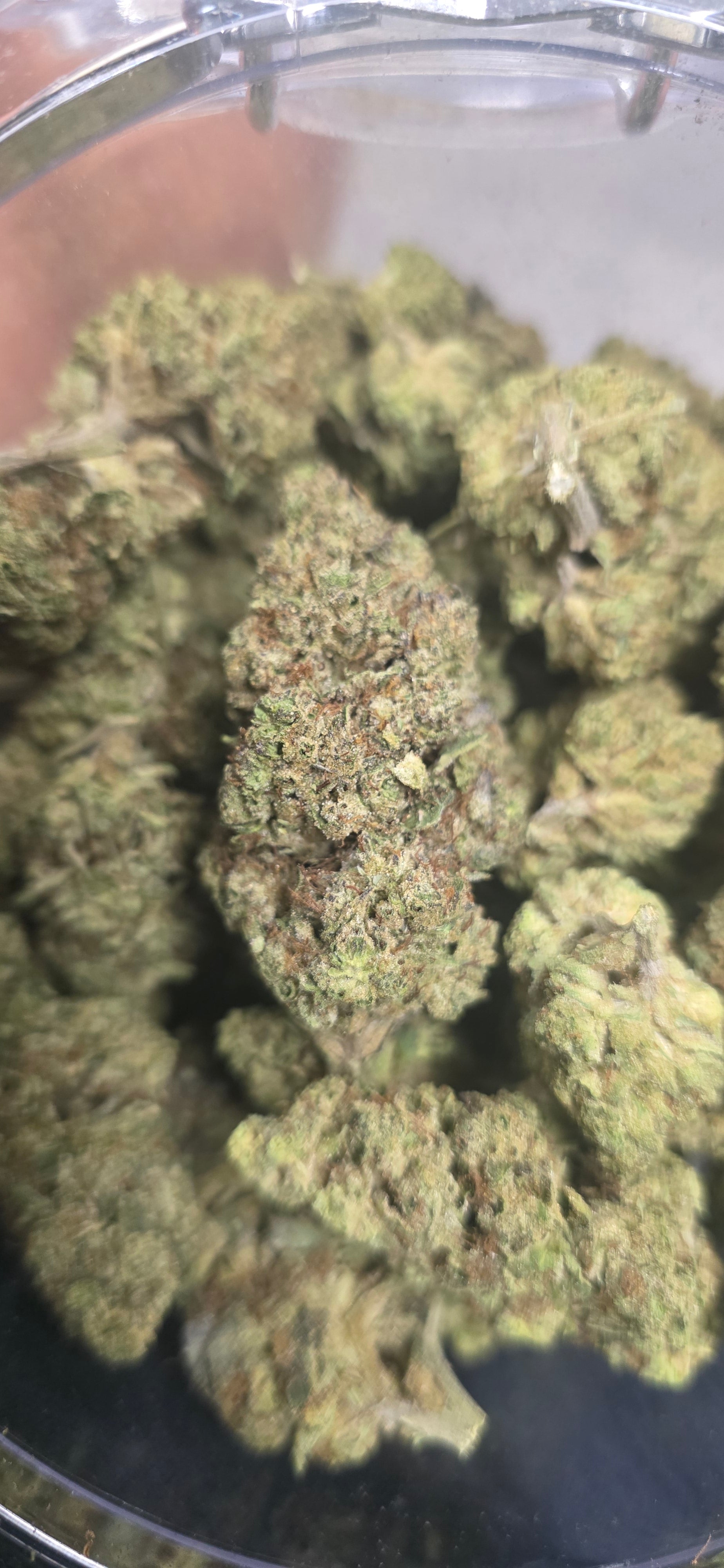 💲Budget Strains 💲