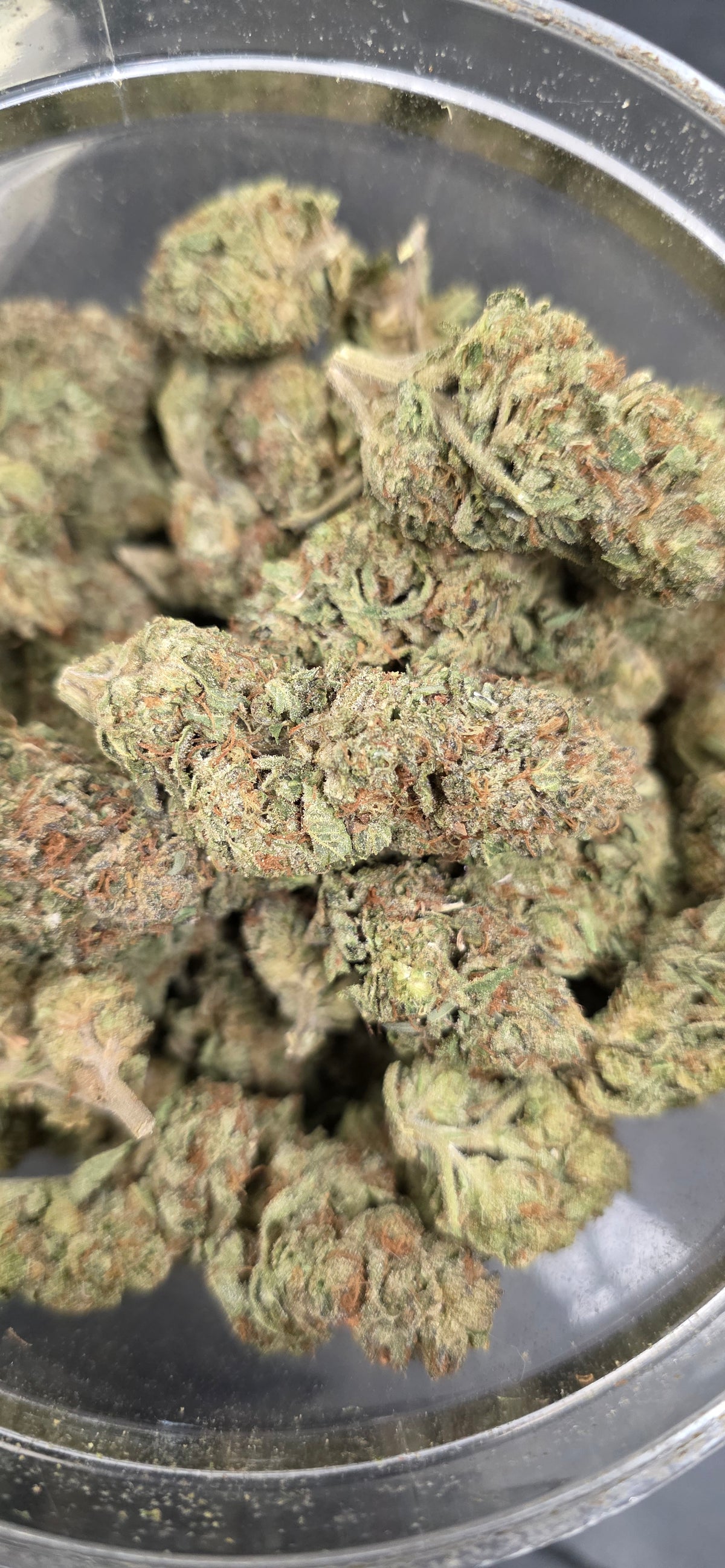 💲Budget Strains 💲