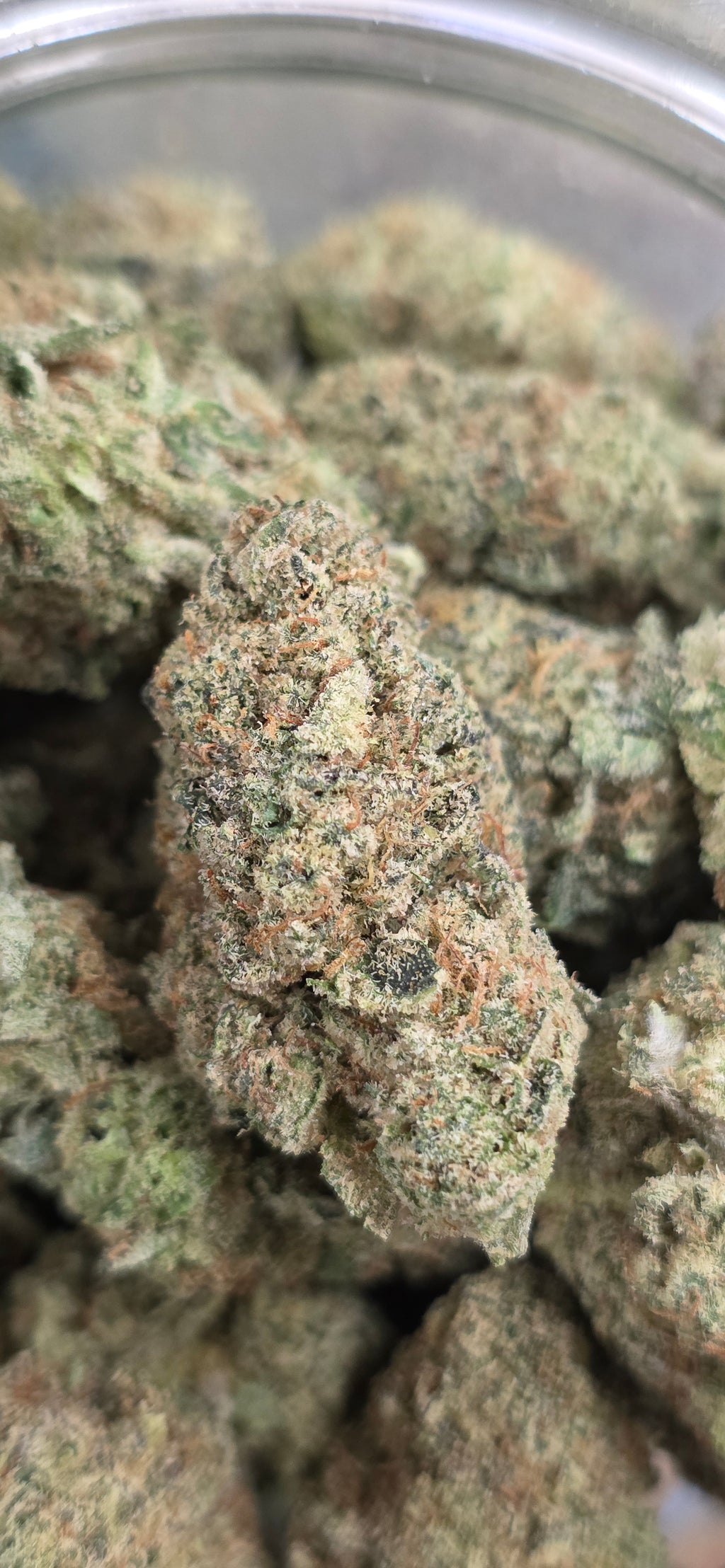 💚 Top Tier Strains 💚