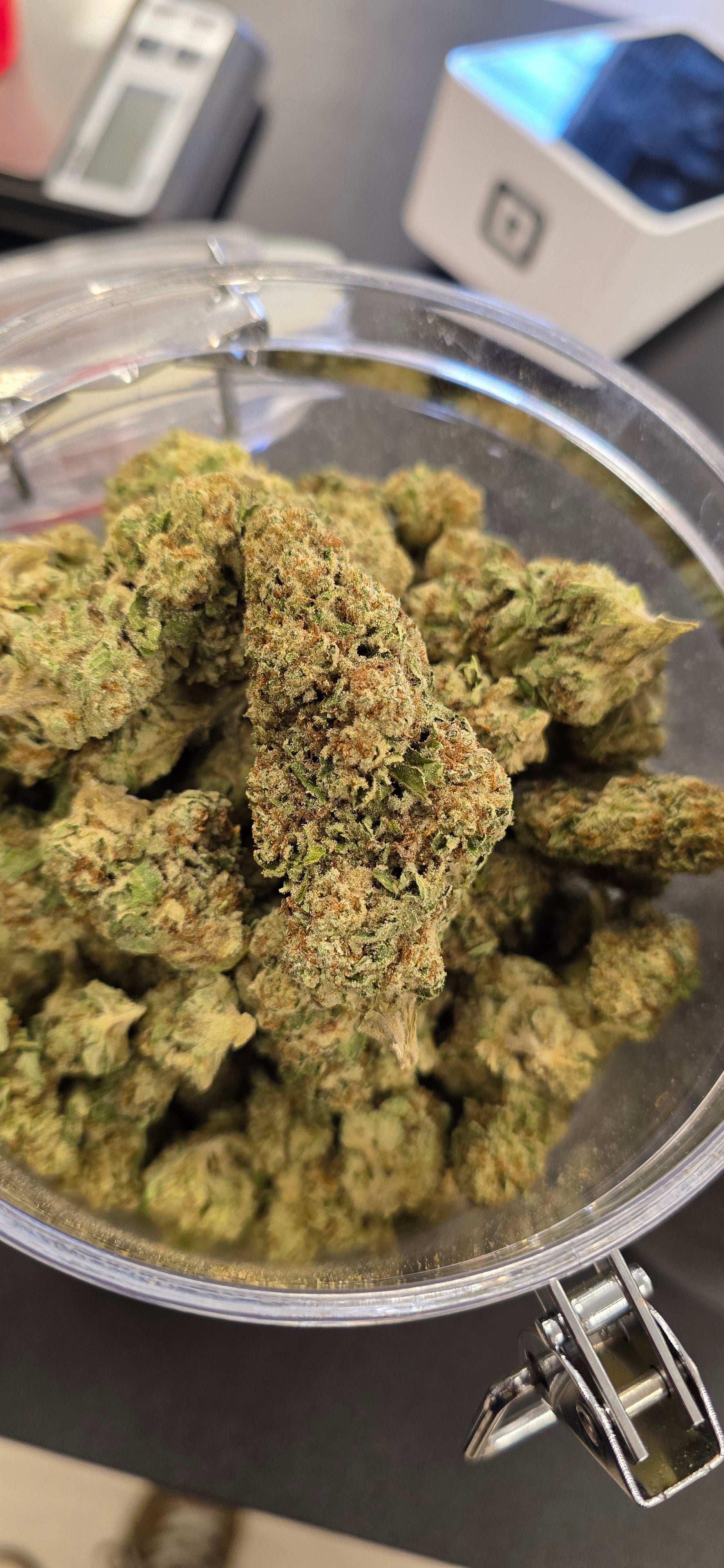 💲Budget Strains 💲