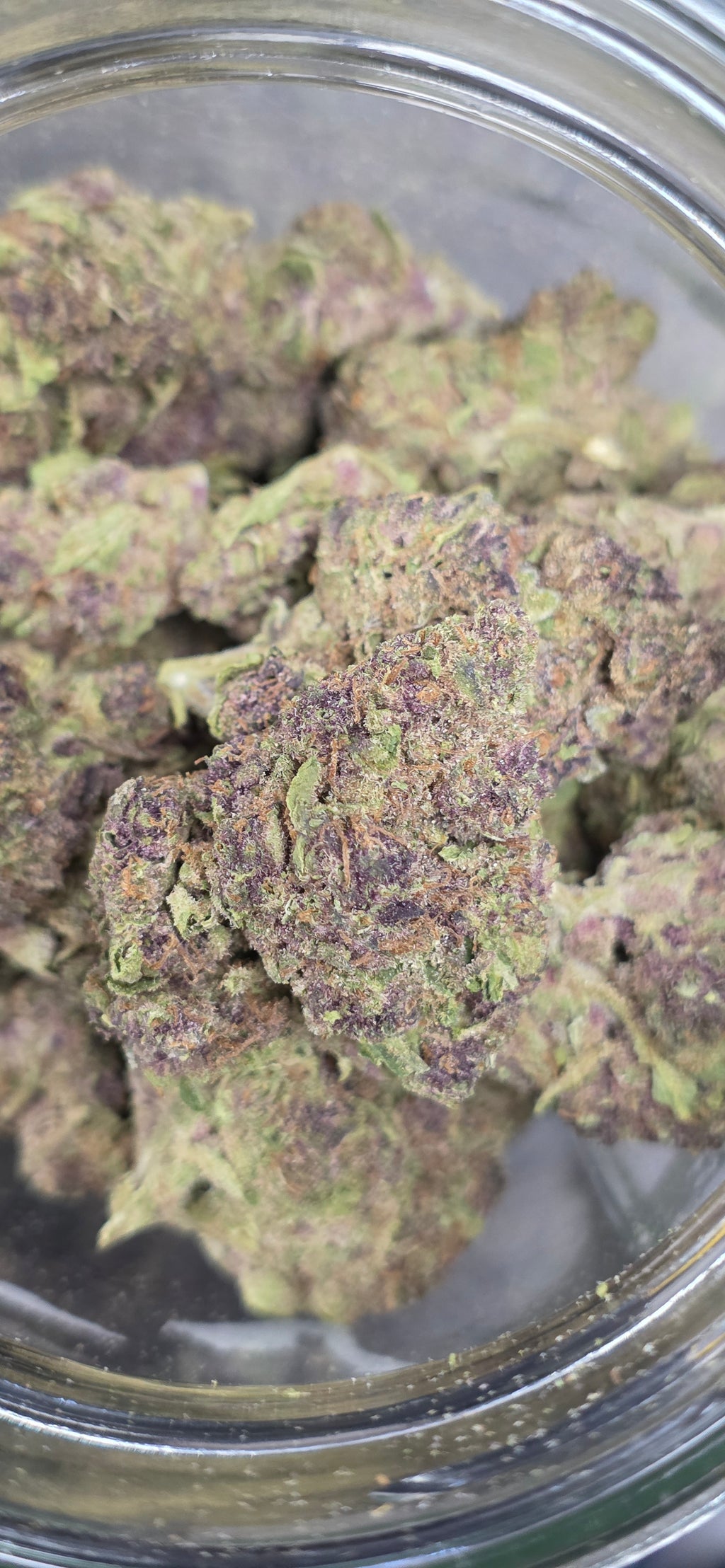 AAA+ Indoor THC-A Flower  ( Sativa )