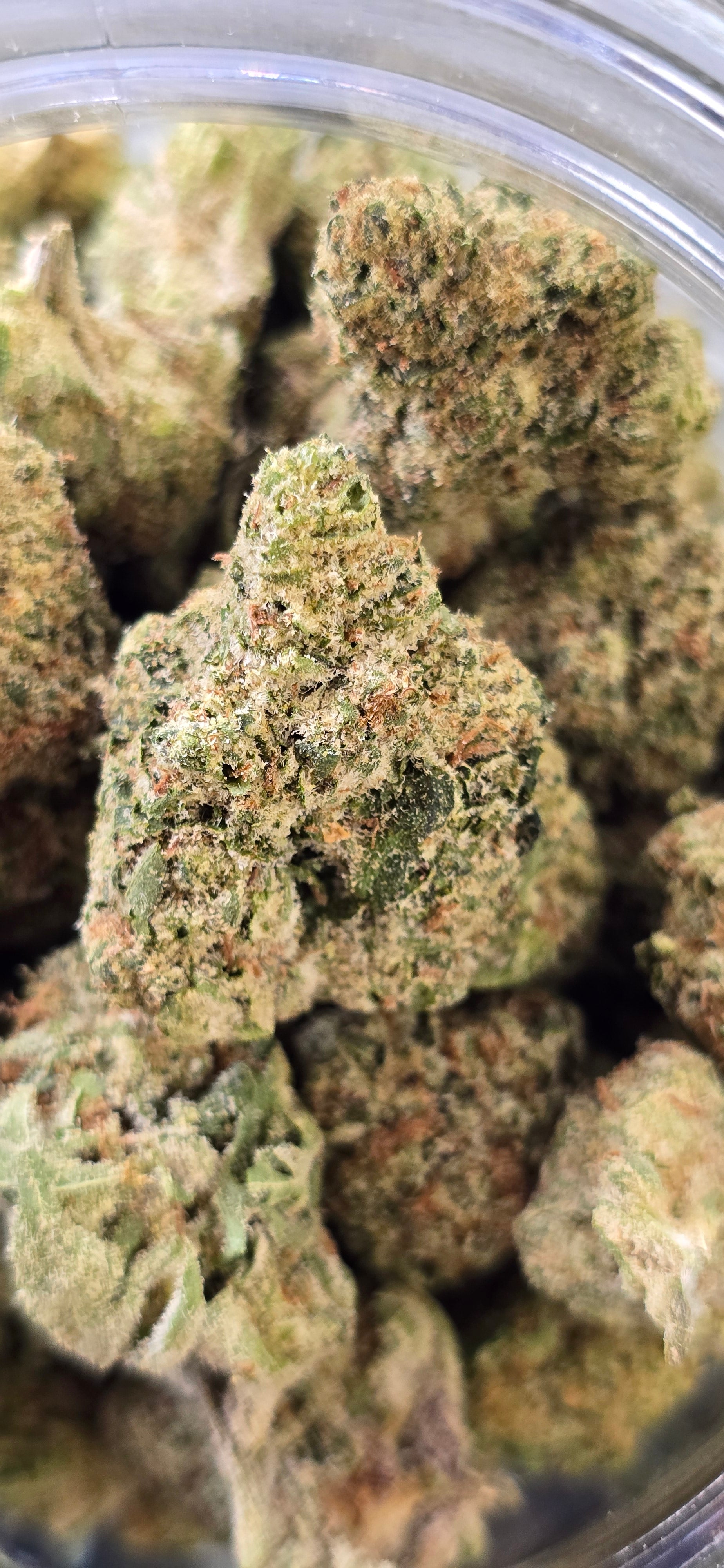 AAA+ Indoor THC-A Flower  ( Sativa )