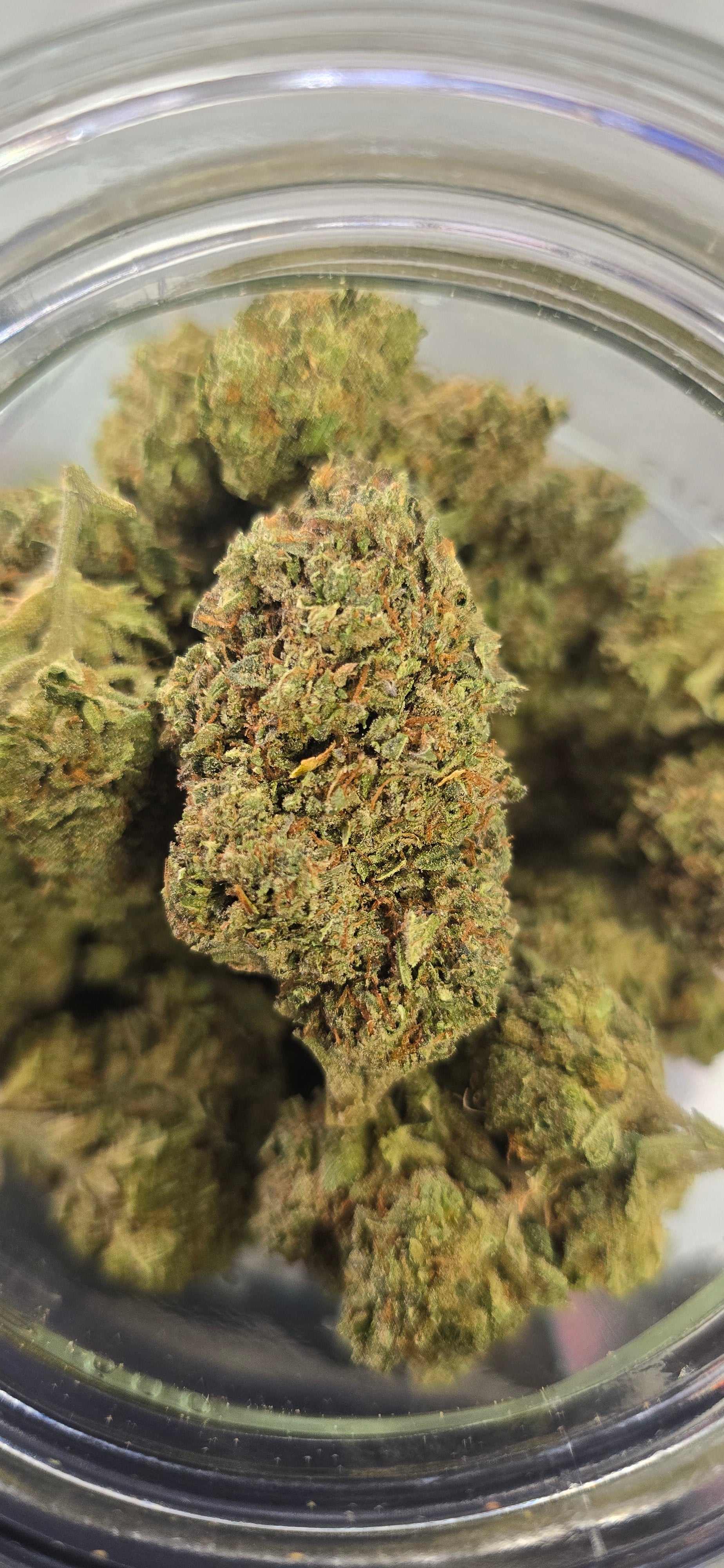 💲Budget Strains 💲