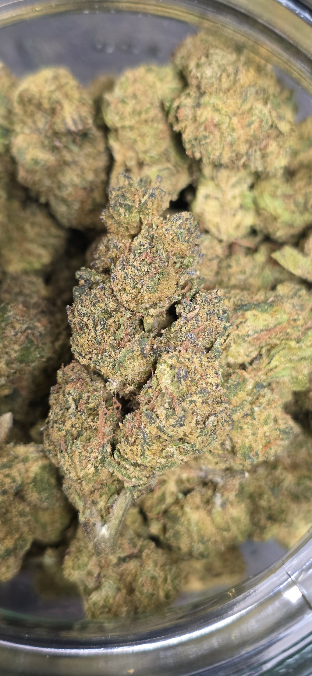 AAA+ Indoor THC-A Flower  ( Hybrid )