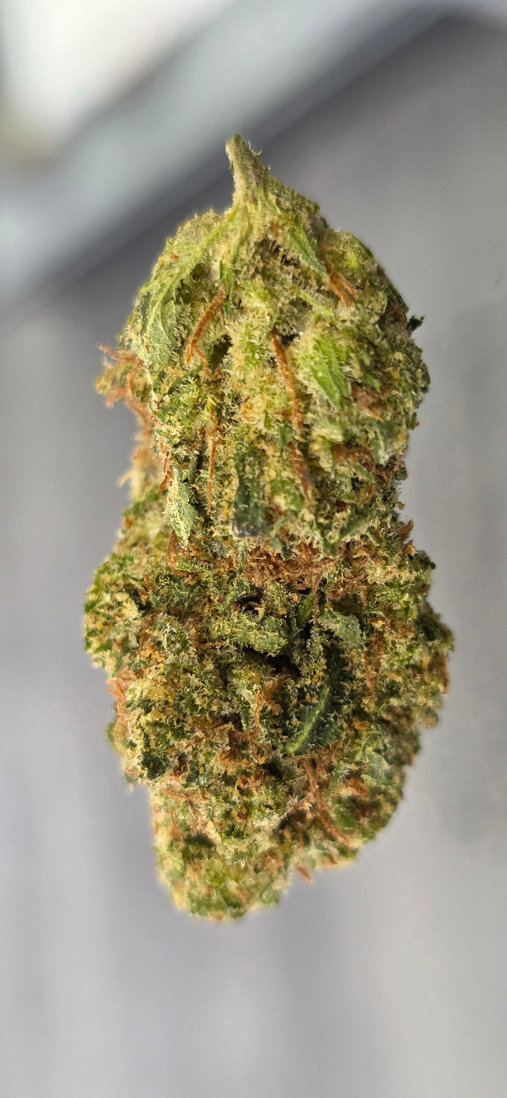 💚 Top Tier Strains 💚