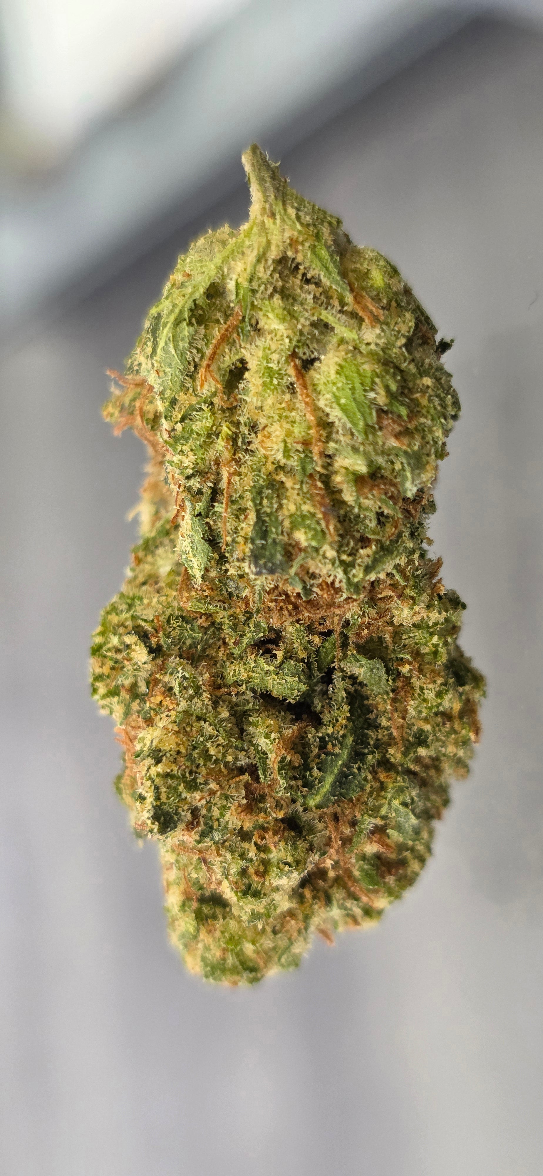 💚 Top Tier Strains 💚