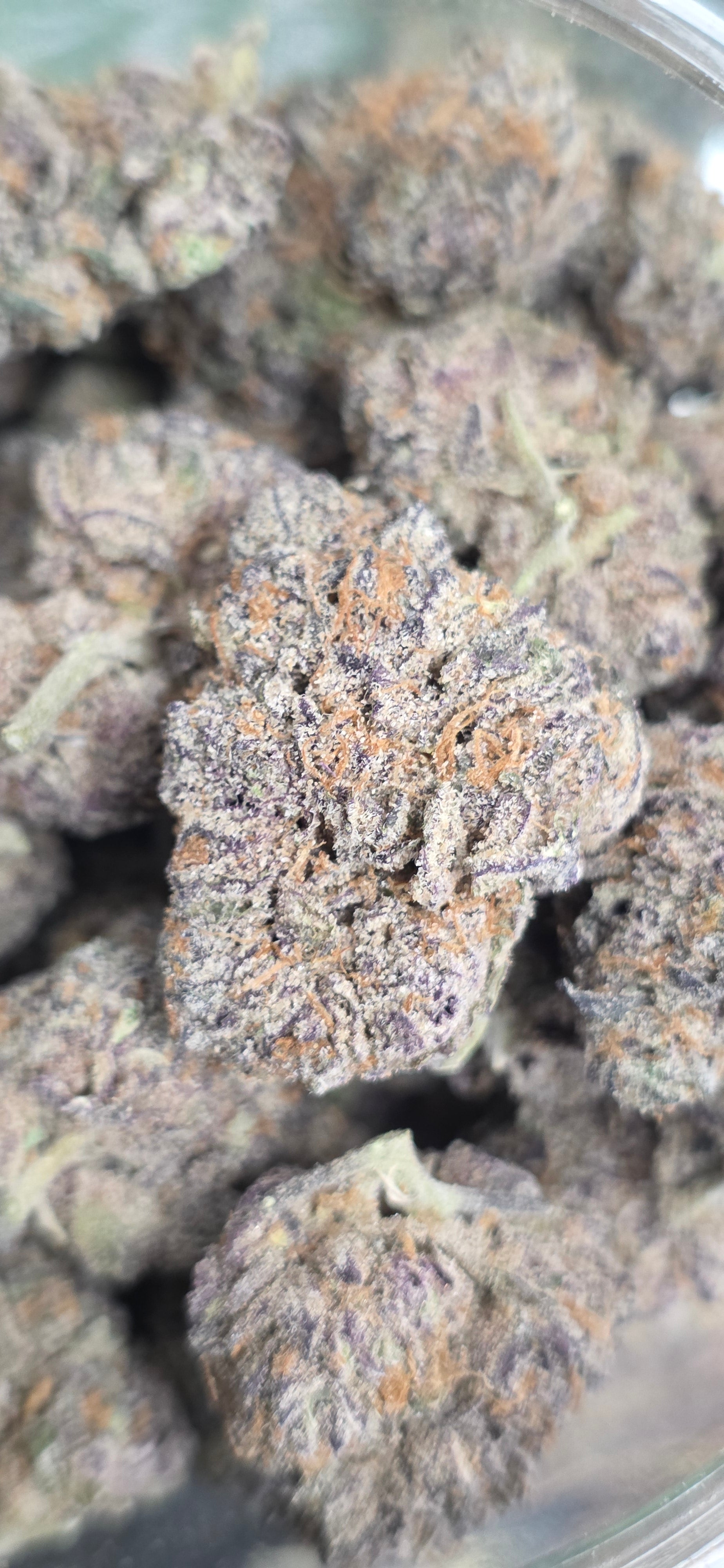 💚 Top Tier Strains 💚