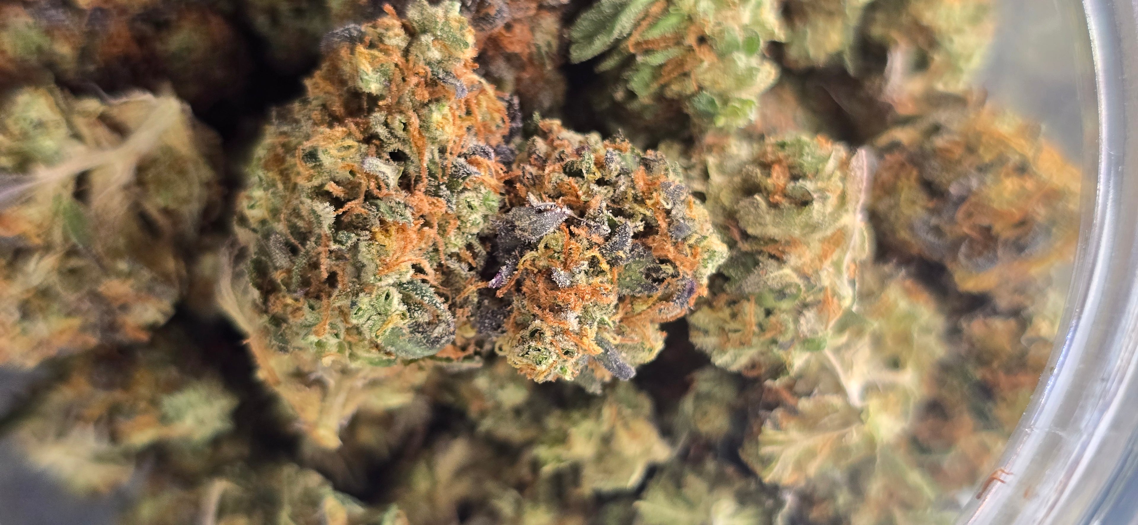 AAA+ Indoor THC-A Flower  ( Indica )