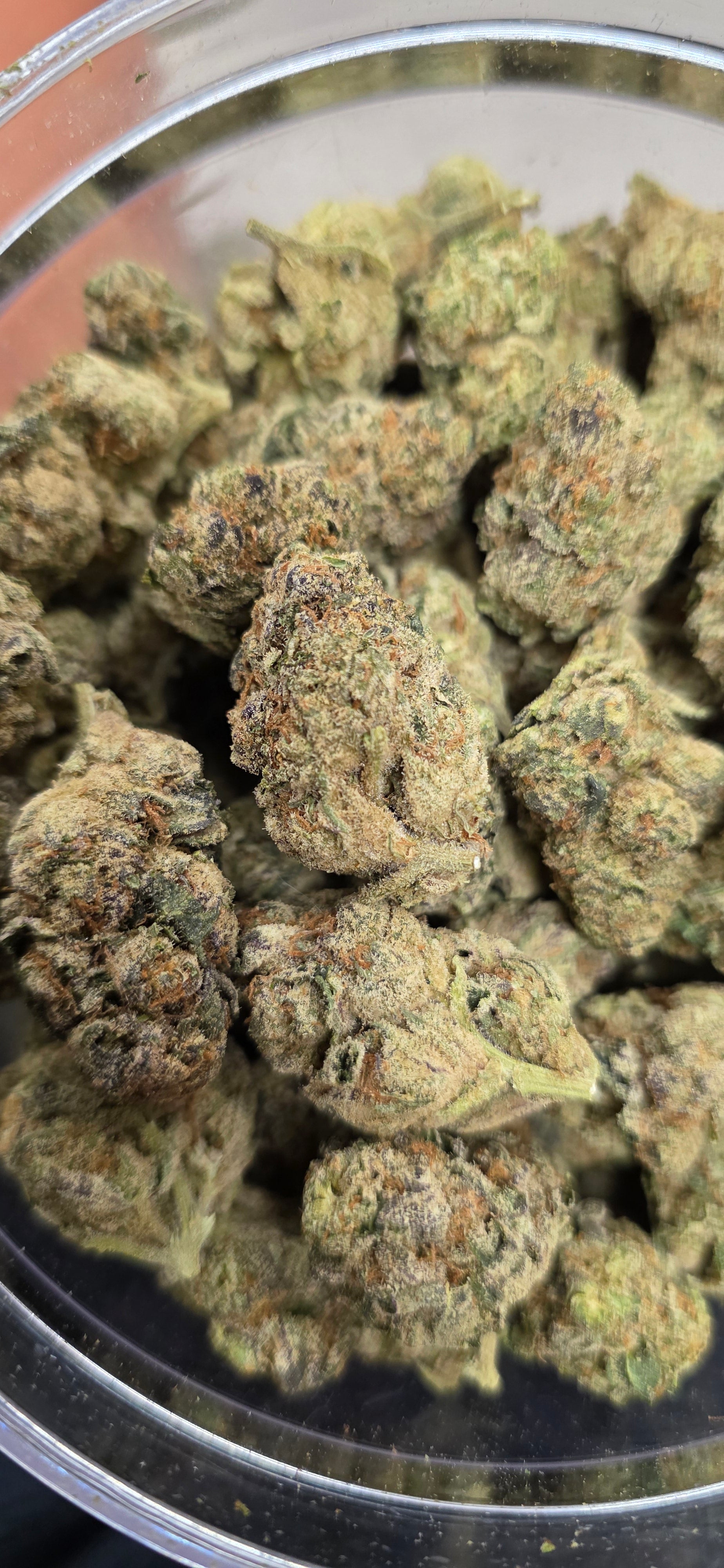 💲Budget Strains 💲