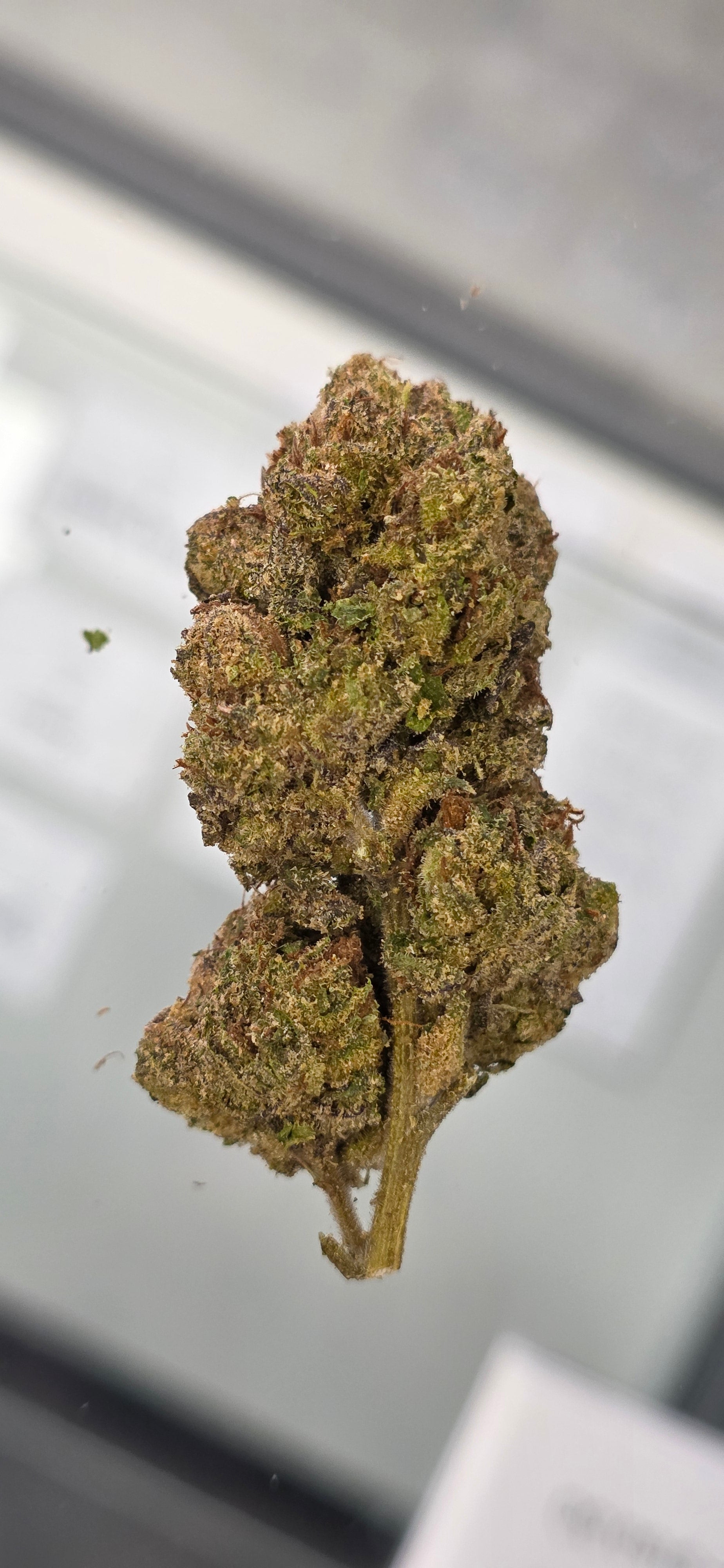 💚 Top Tier Strains 💚