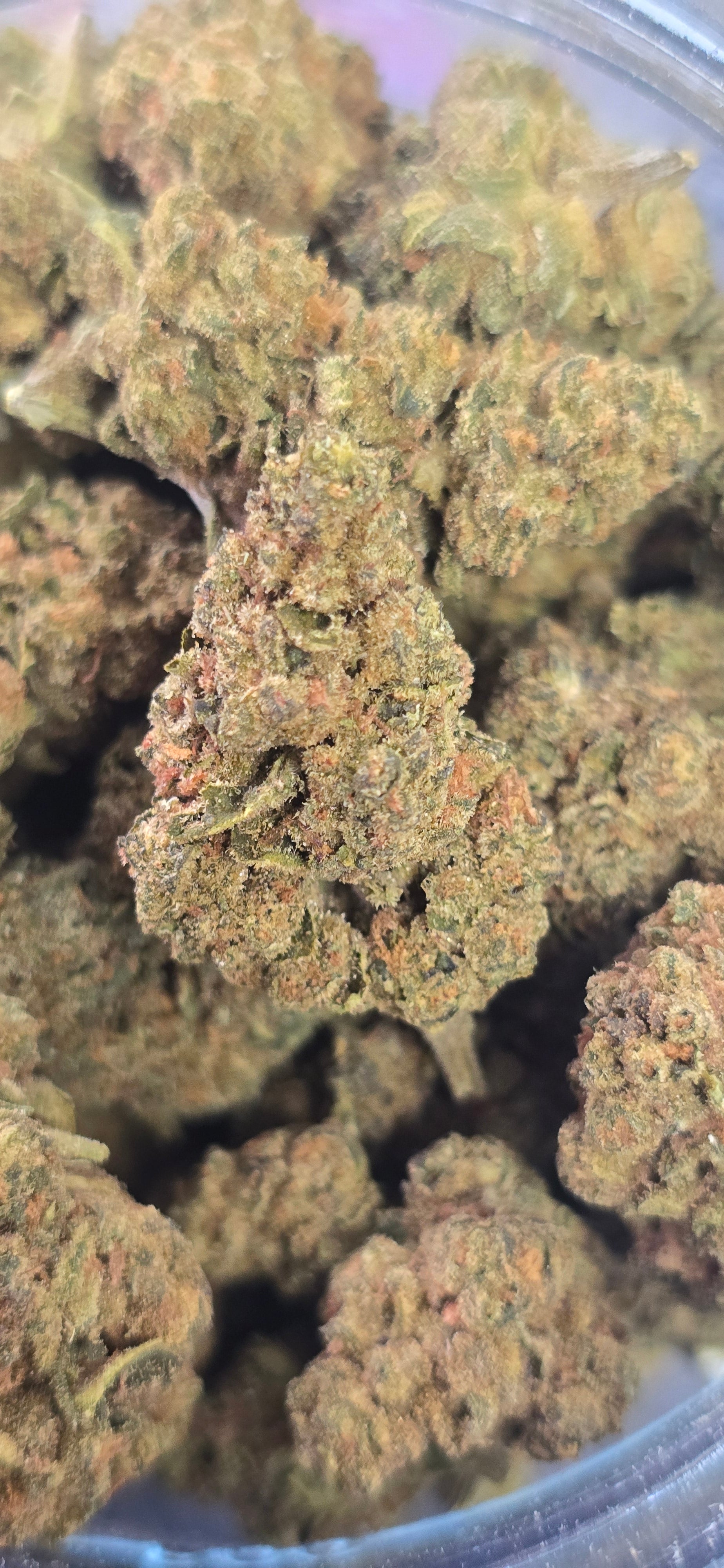 💲Budget Strains 💲