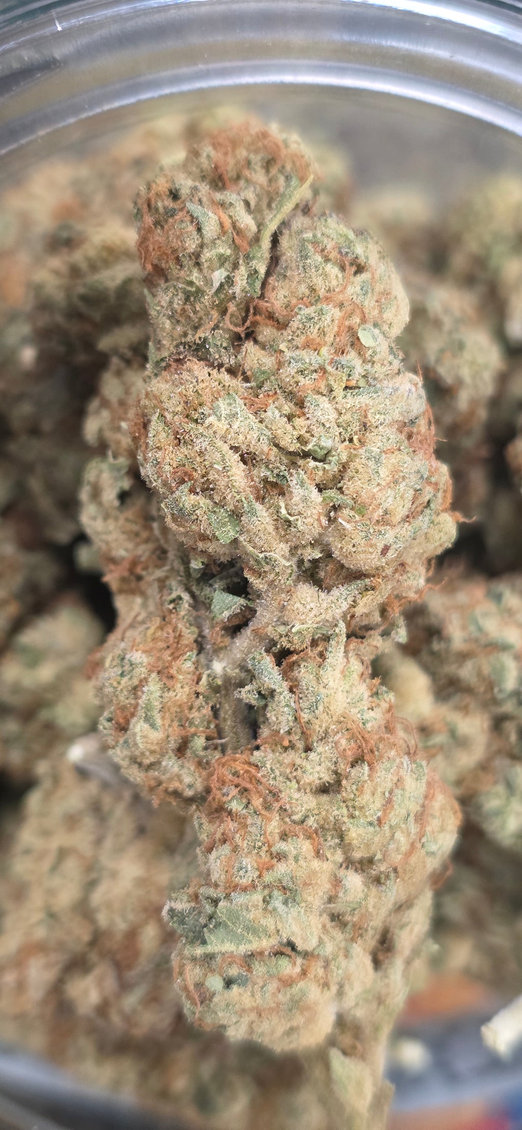 💚 Top Tier Strains 💚